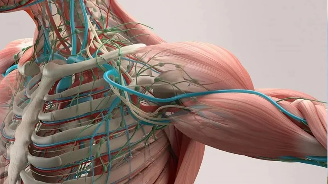 Your Body is a Miracle in Motion