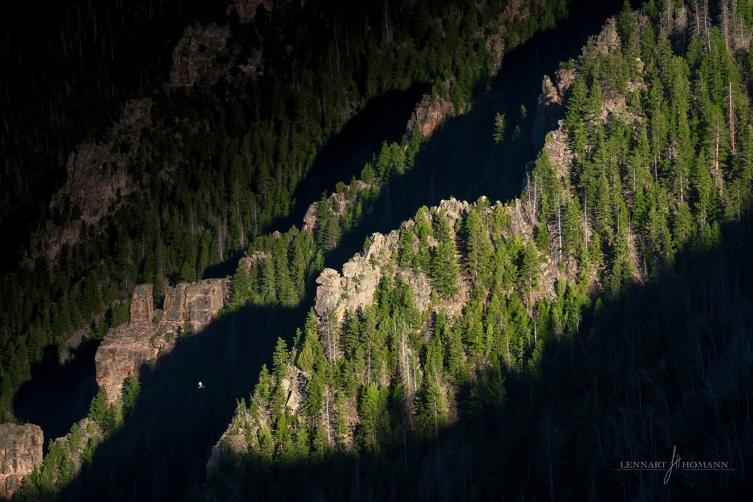 Canyon's Last Light.jpg