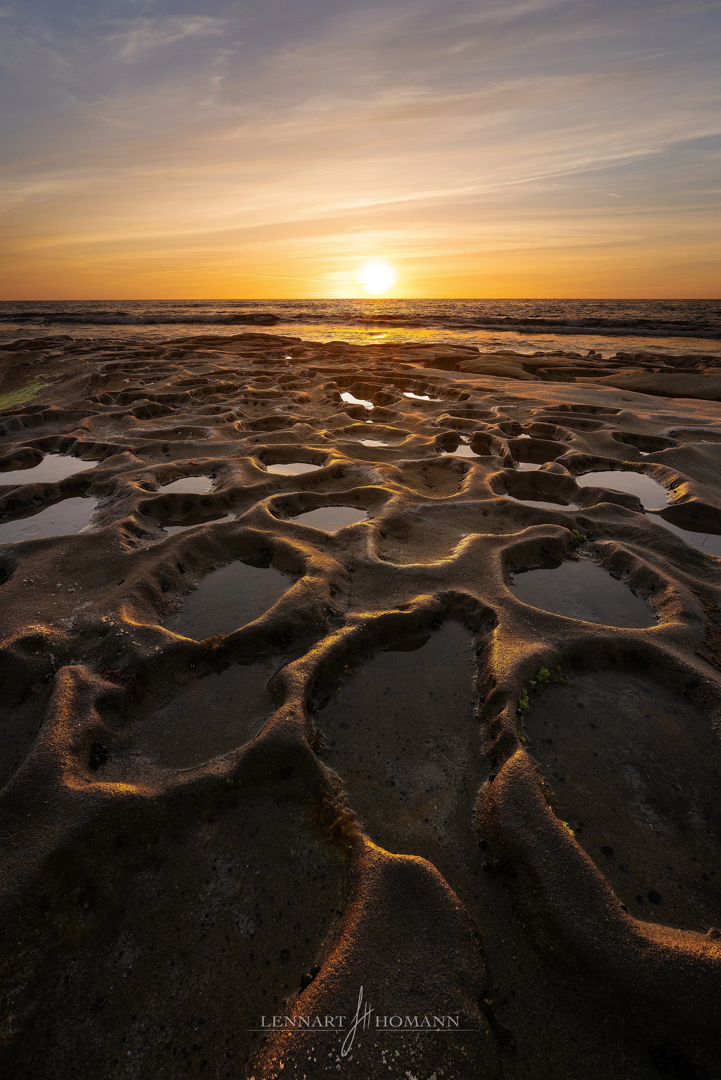 Tide Pools of Time LOGO.jpg