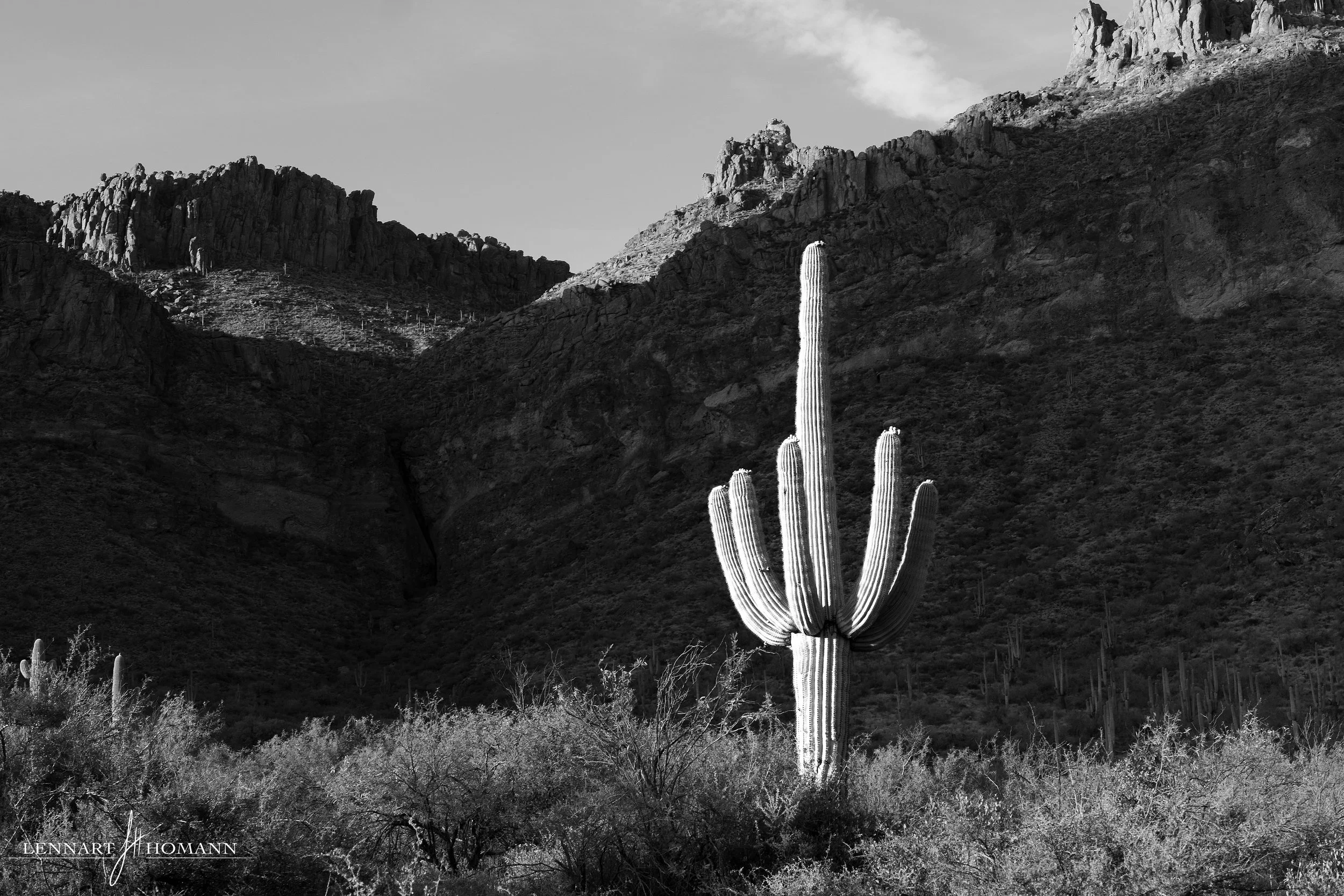 Superstition Wilderness.jpg
