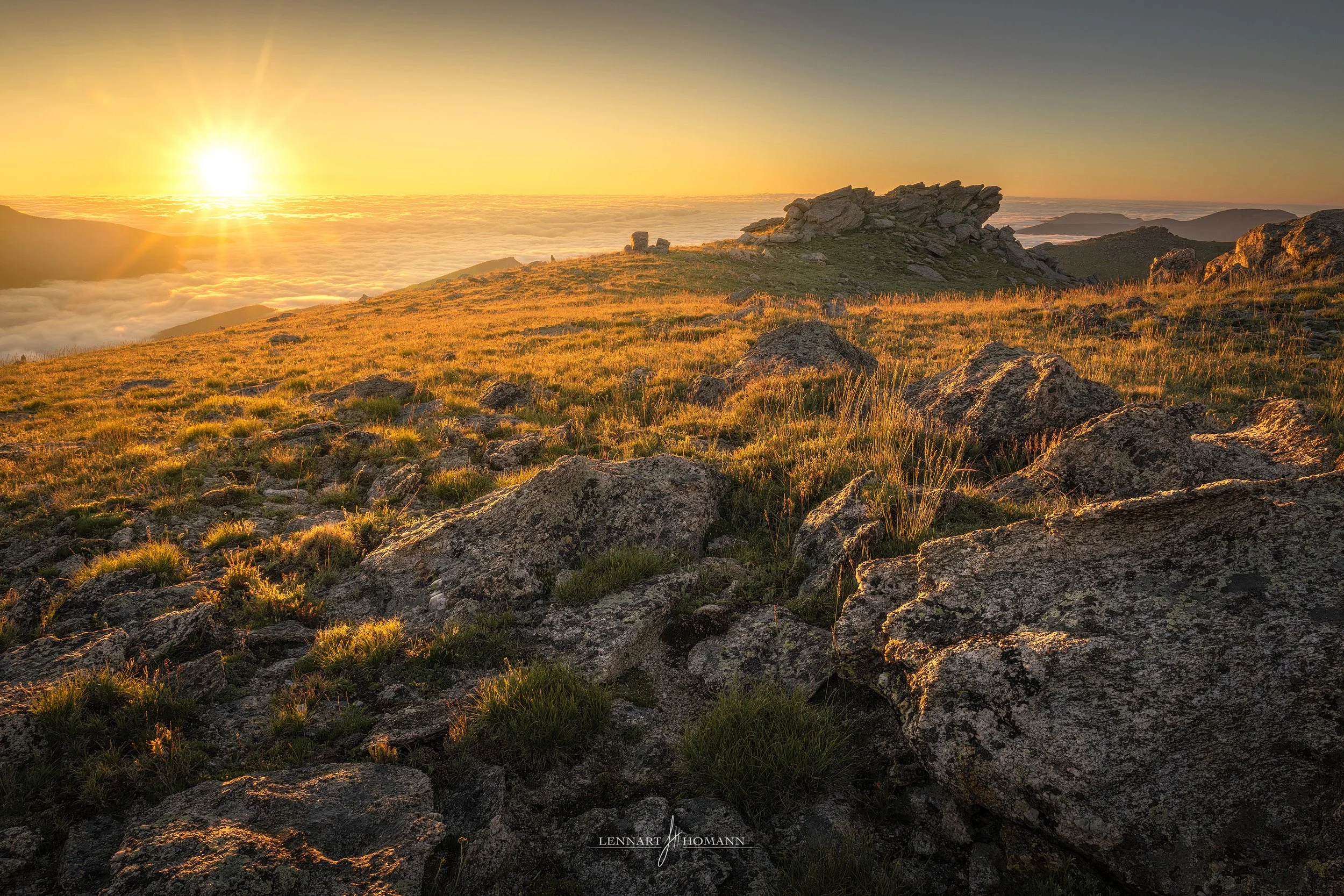 Greeting from the Sun.jpg