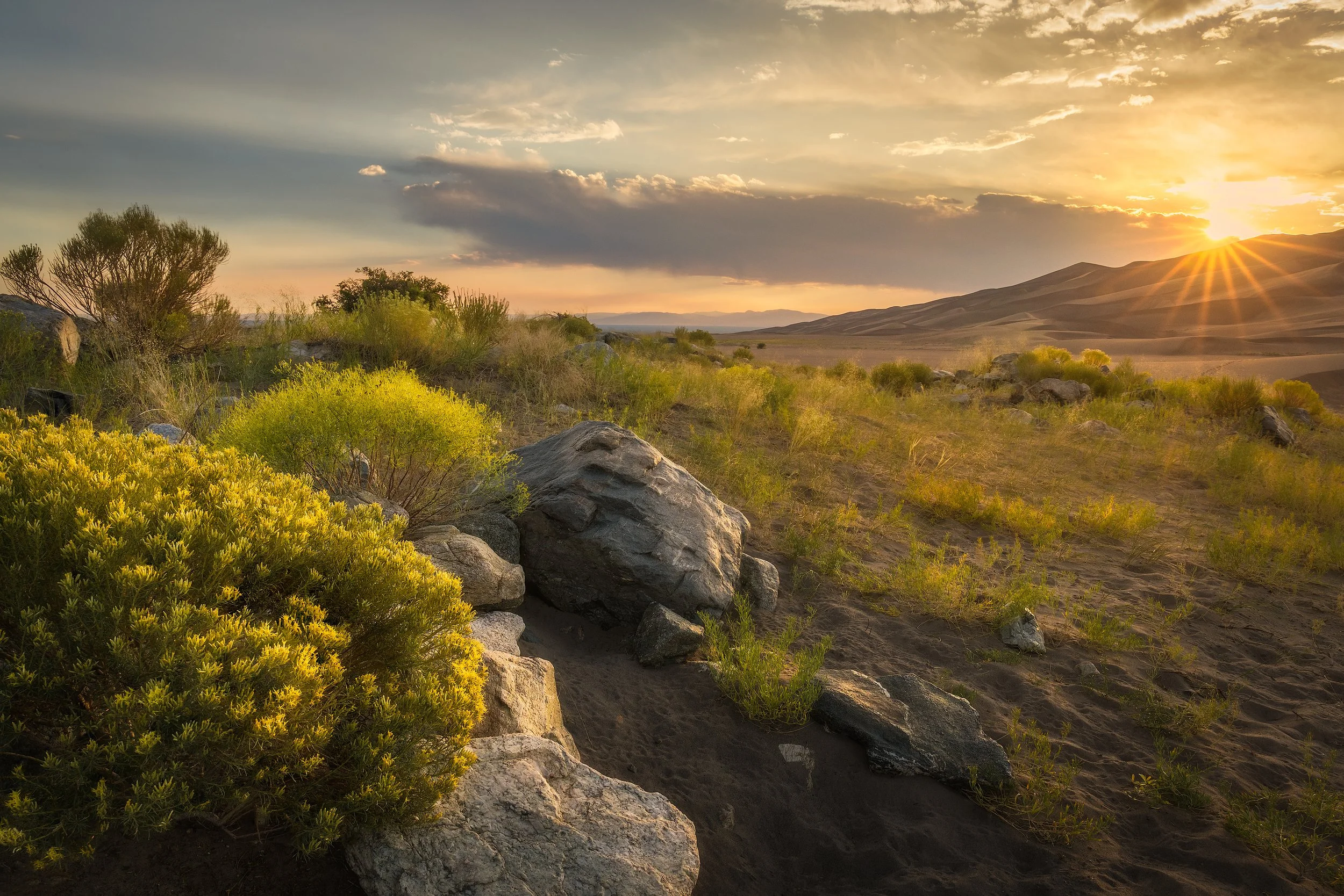 Fall in the Desert.jpg
