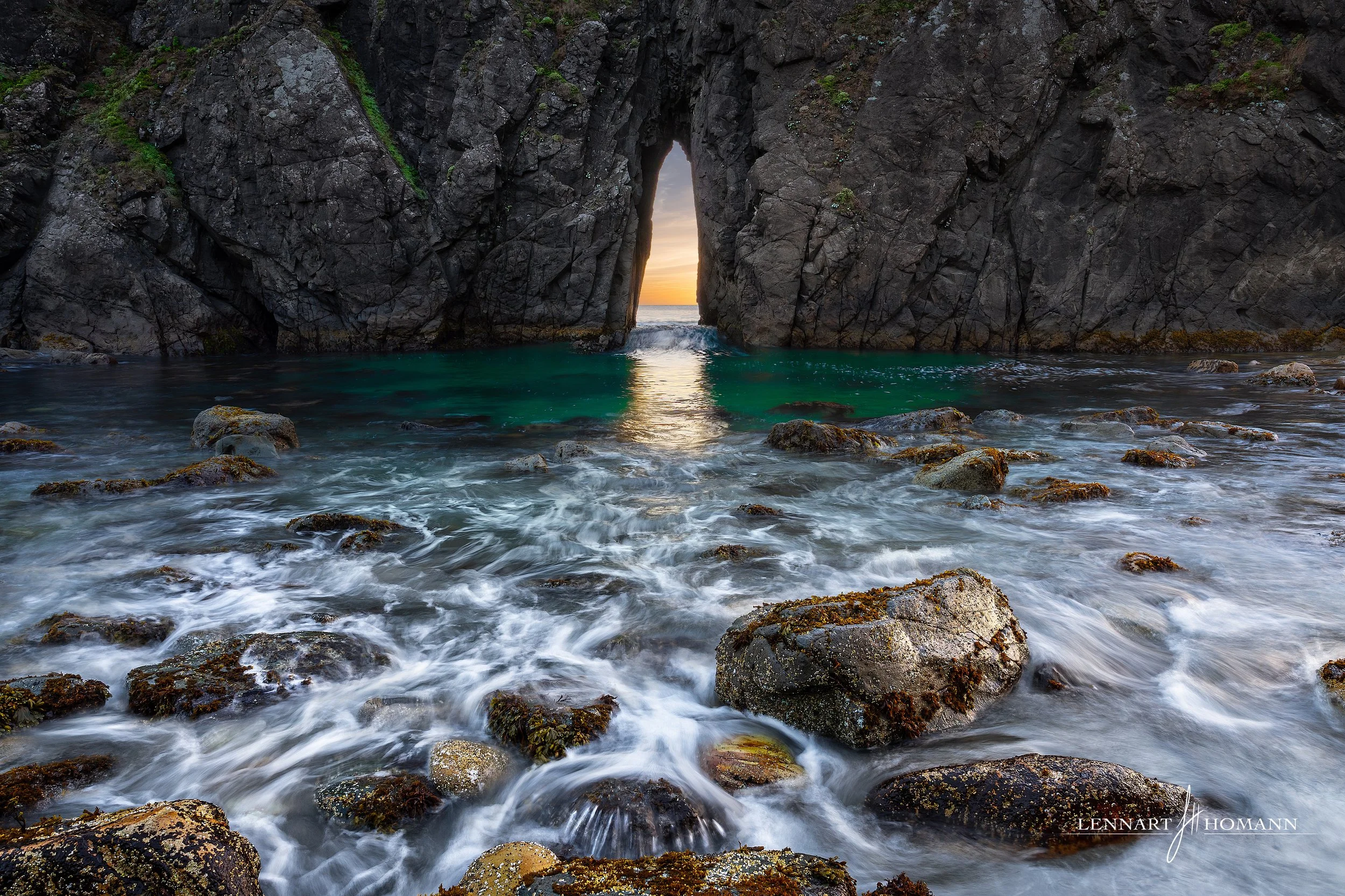 The Cove.jpg