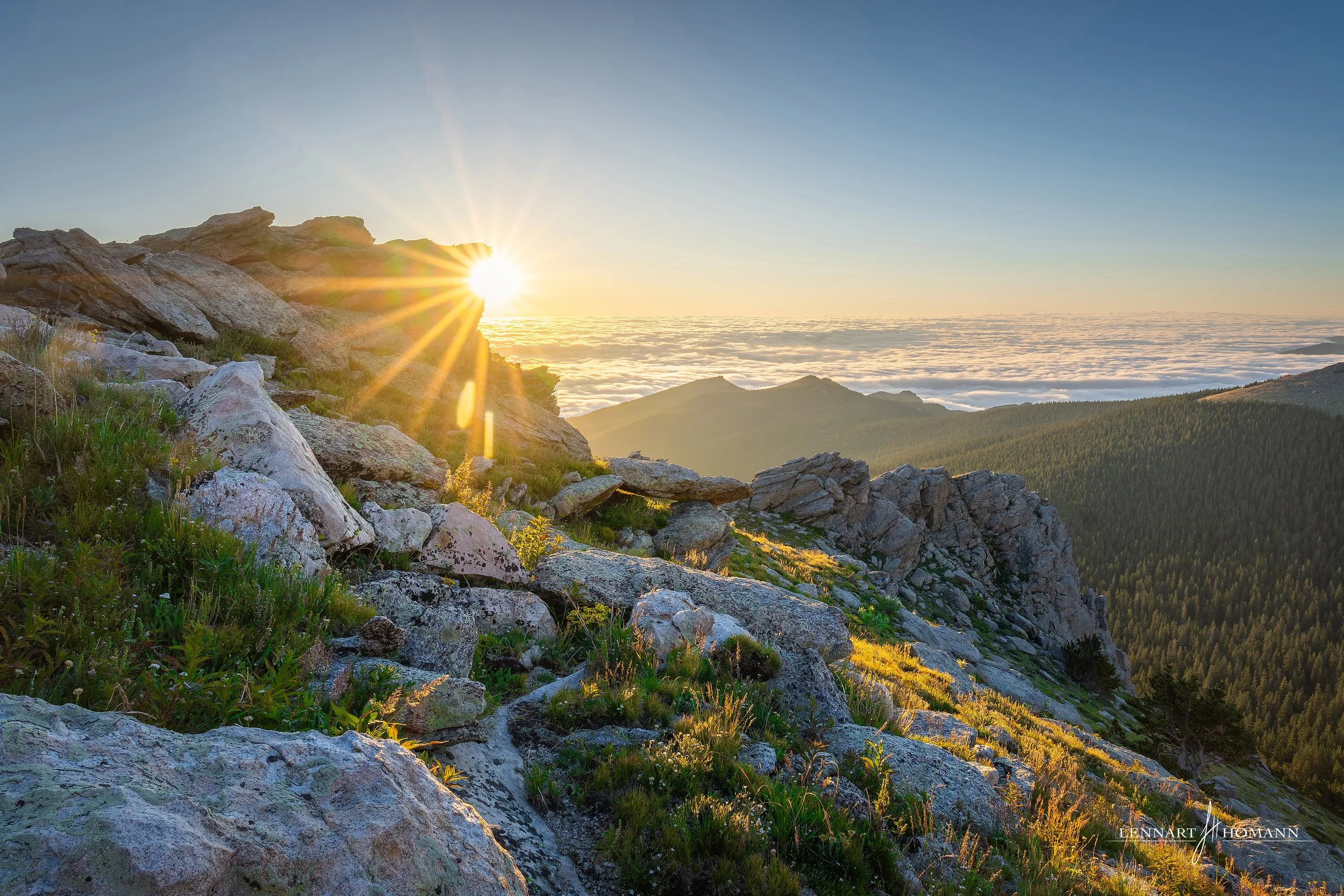 Beautiful Suprise.jpg