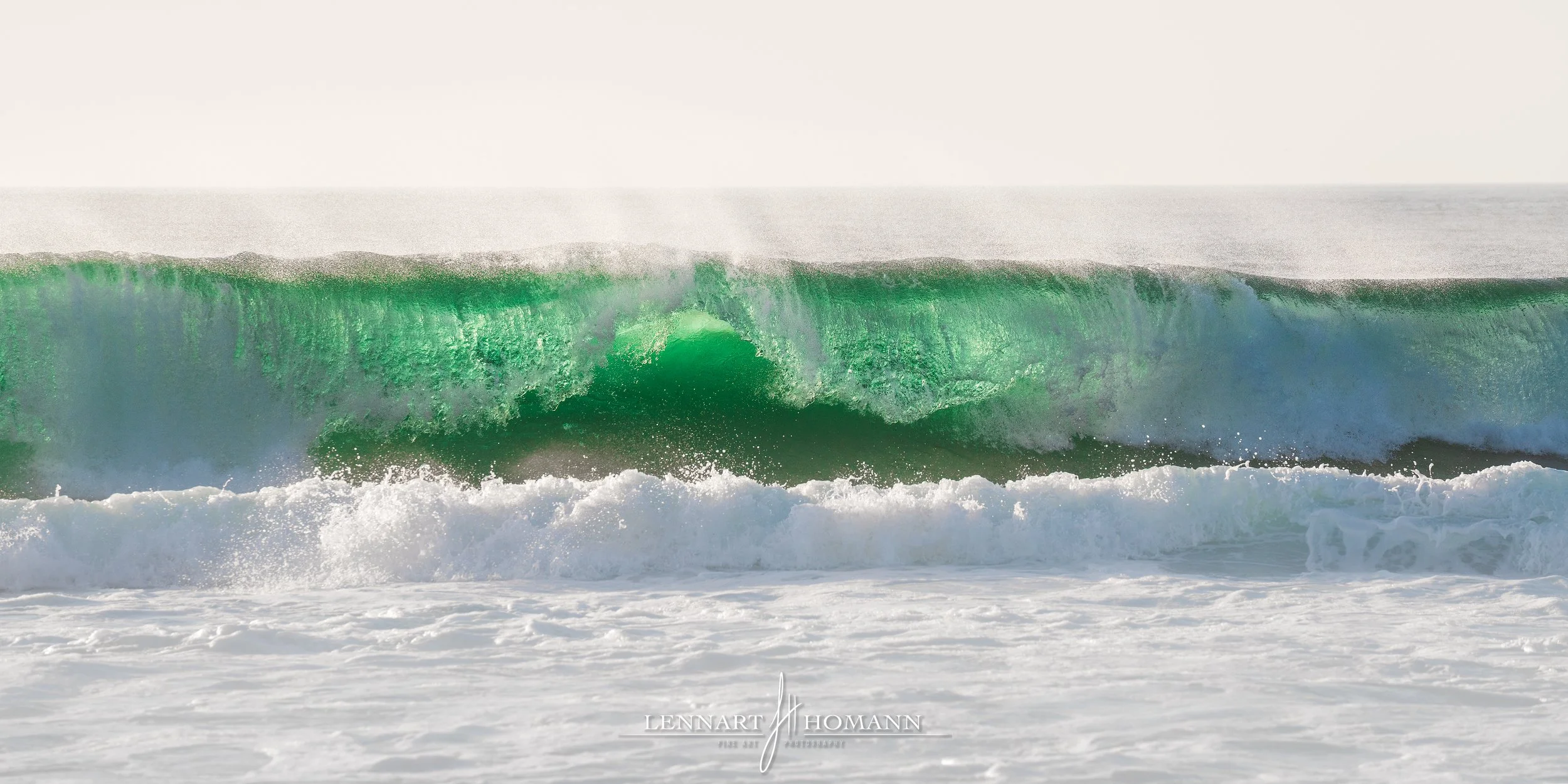 Within the Tide LOGO.jpg