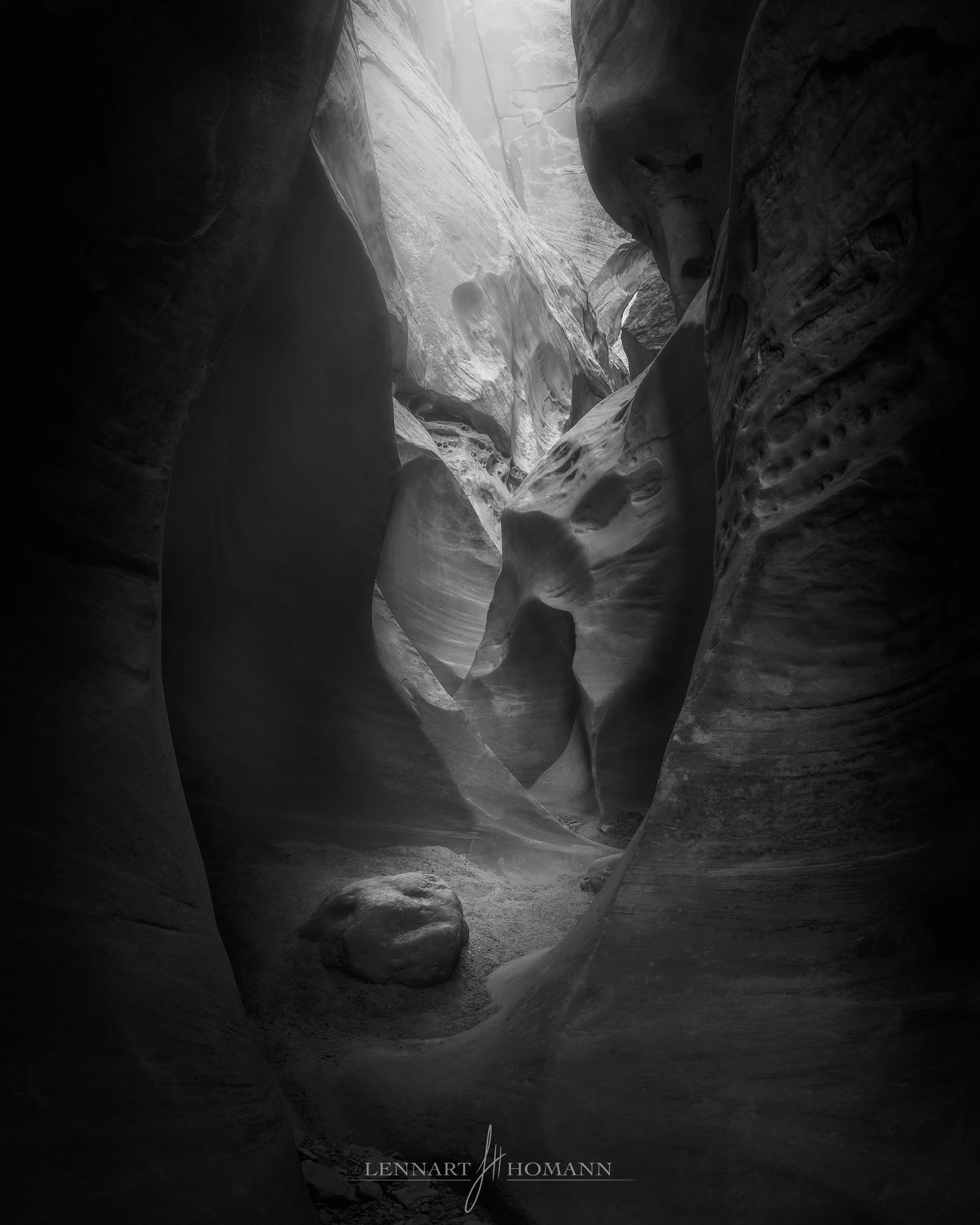 Lost in the Narrows LOGO.jpg