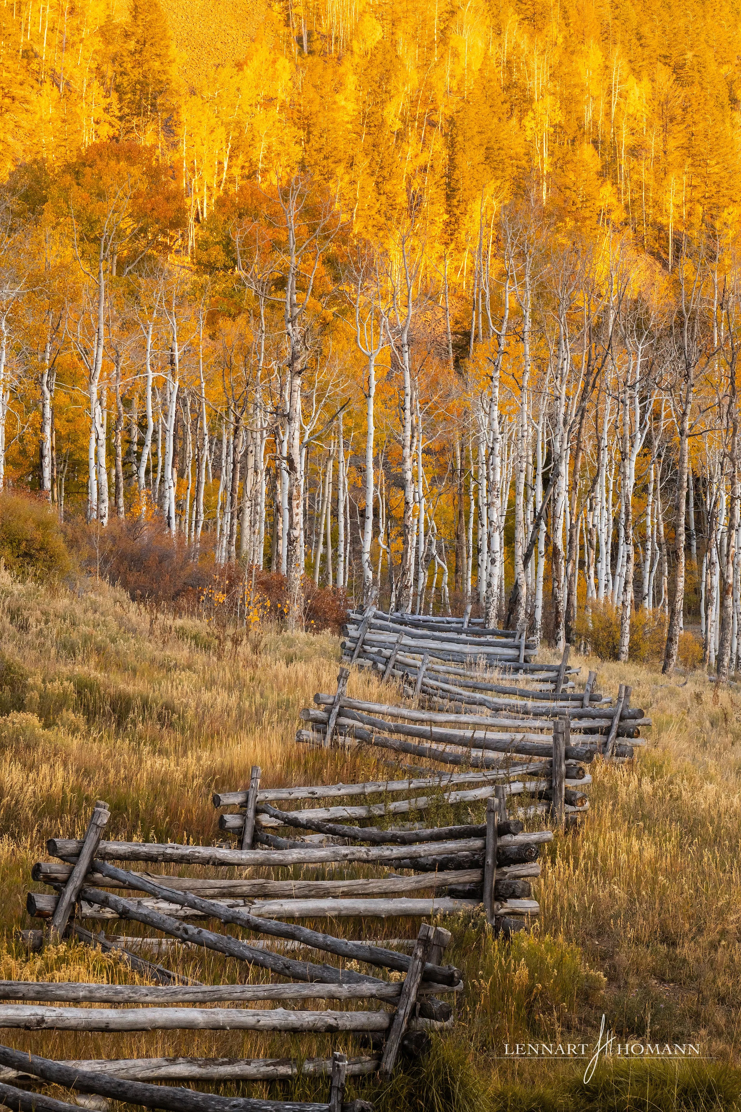 Fall in Telluride.jpg