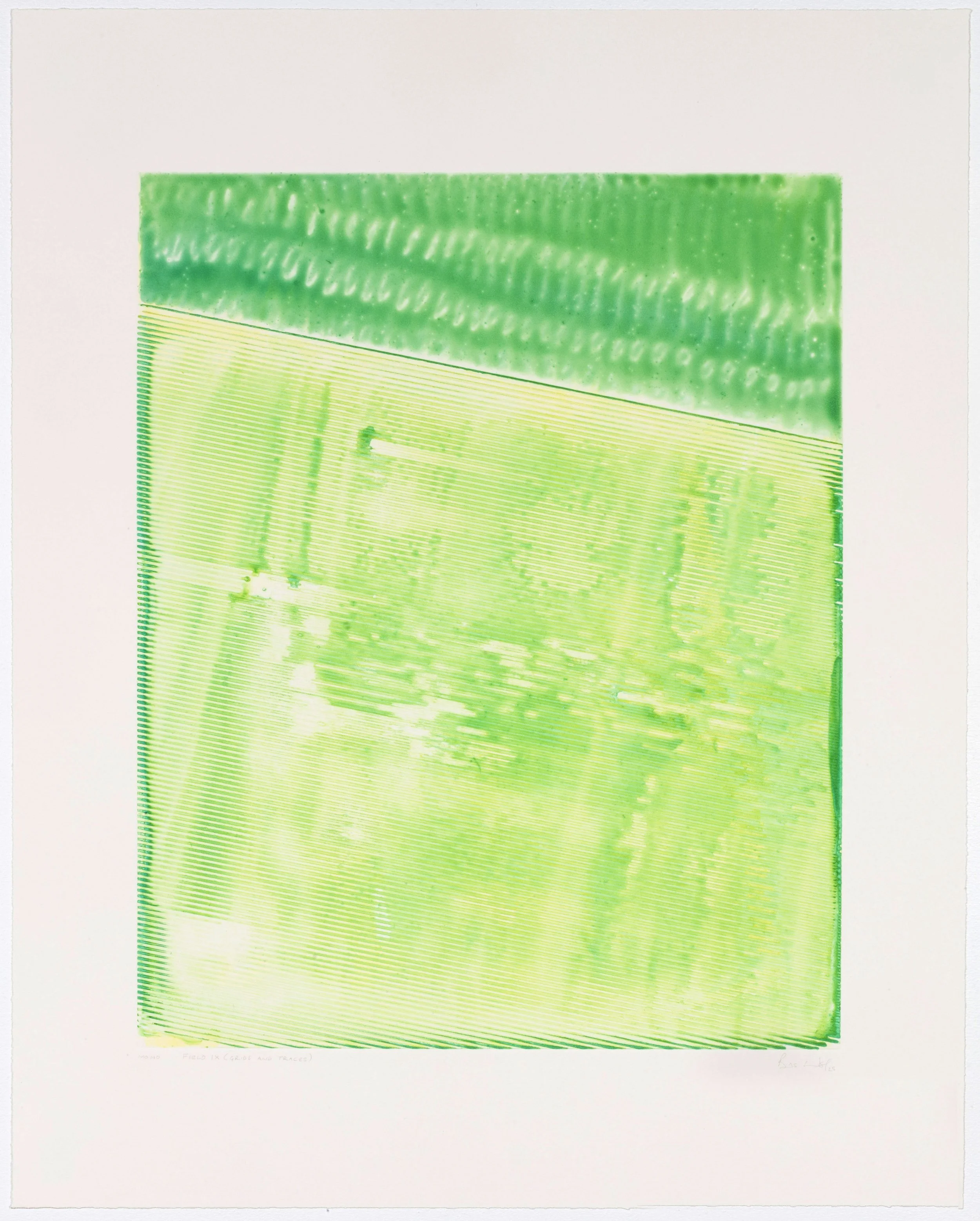 Bevan de Wet, 2025_Field IX (Grids and Traces)_watercolour monotype_67,5x54cm.jpg