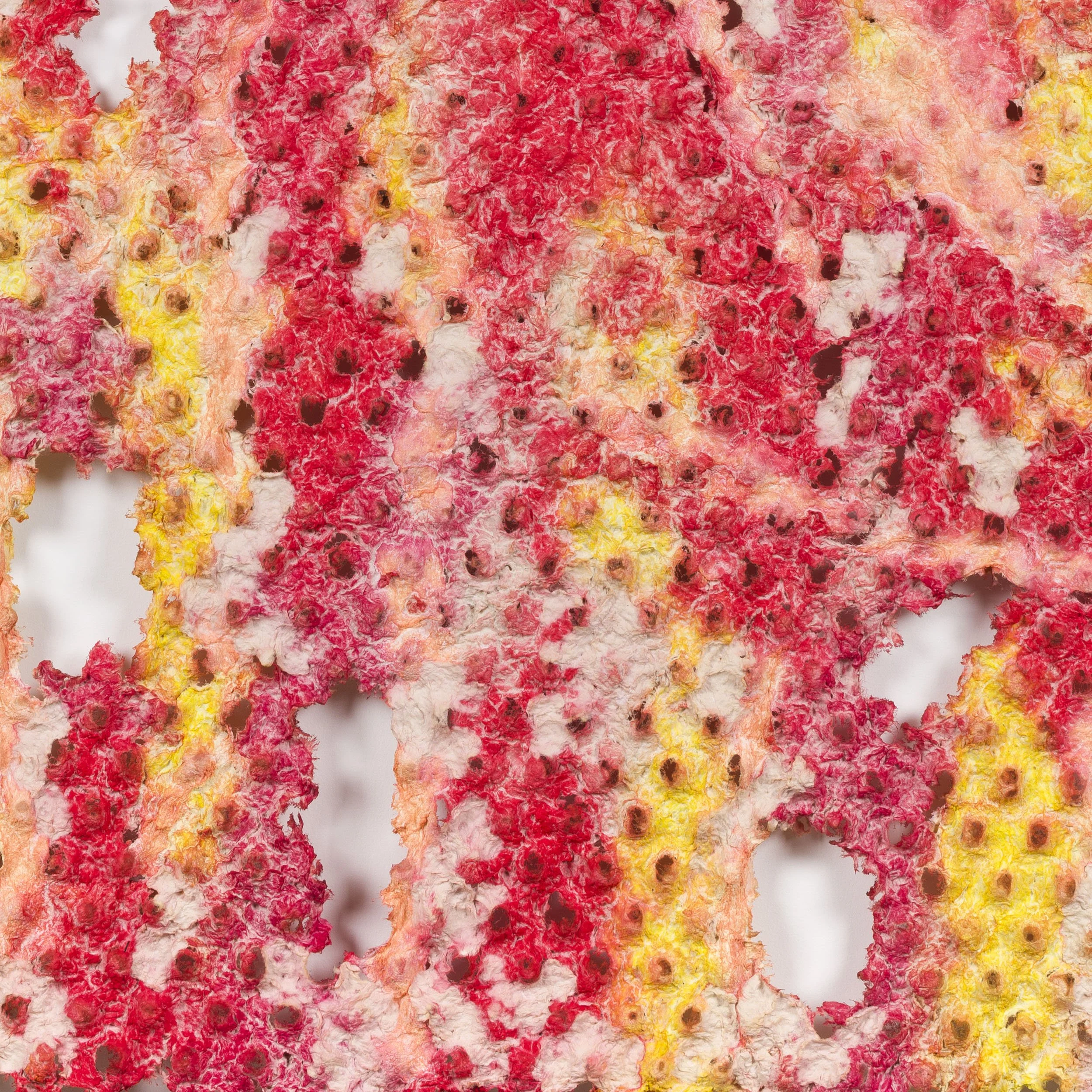 of colour and of form | 2023