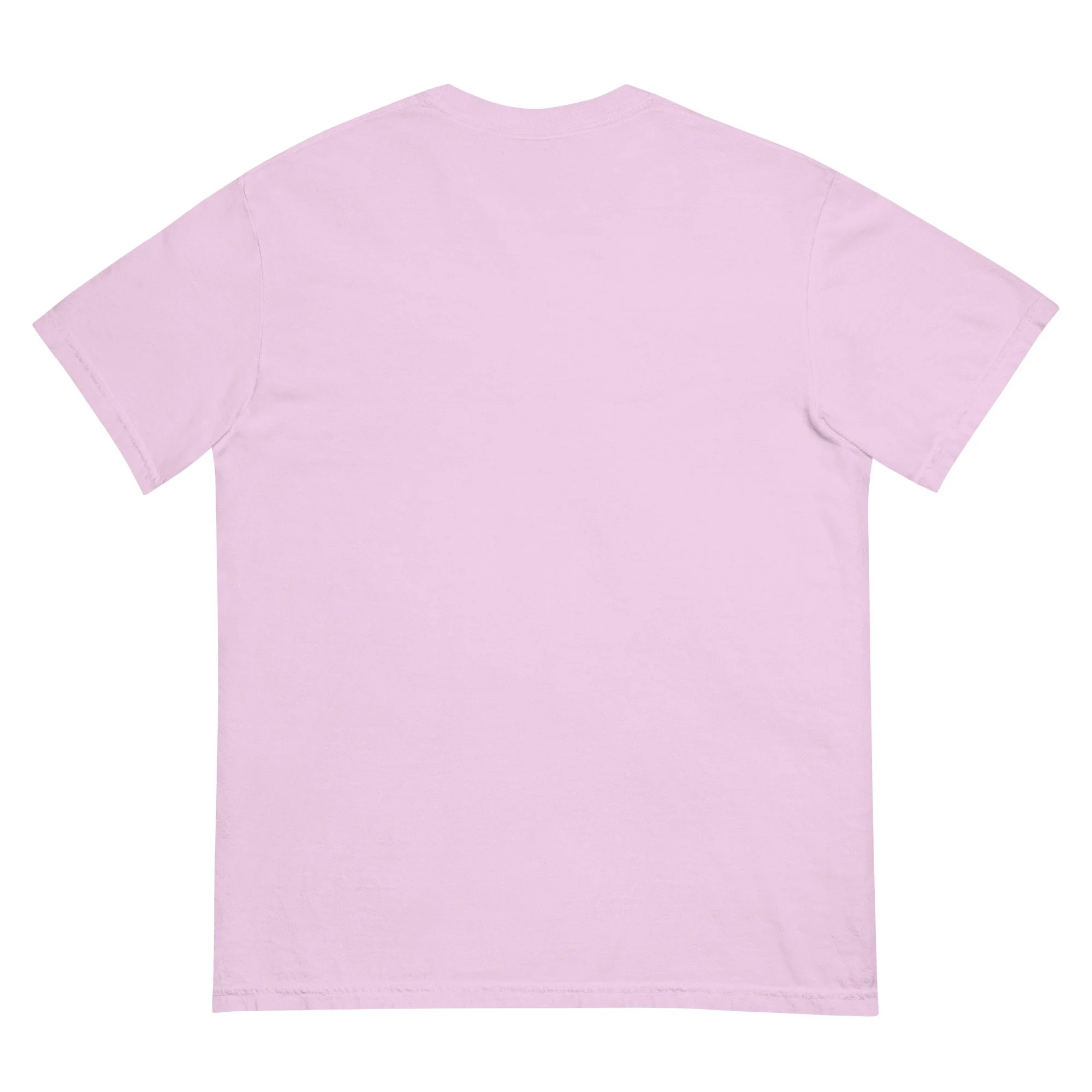 unisex-garment-dyed-heavyweight-t-shirt-orchid-back-68a886e699eb4.jpg