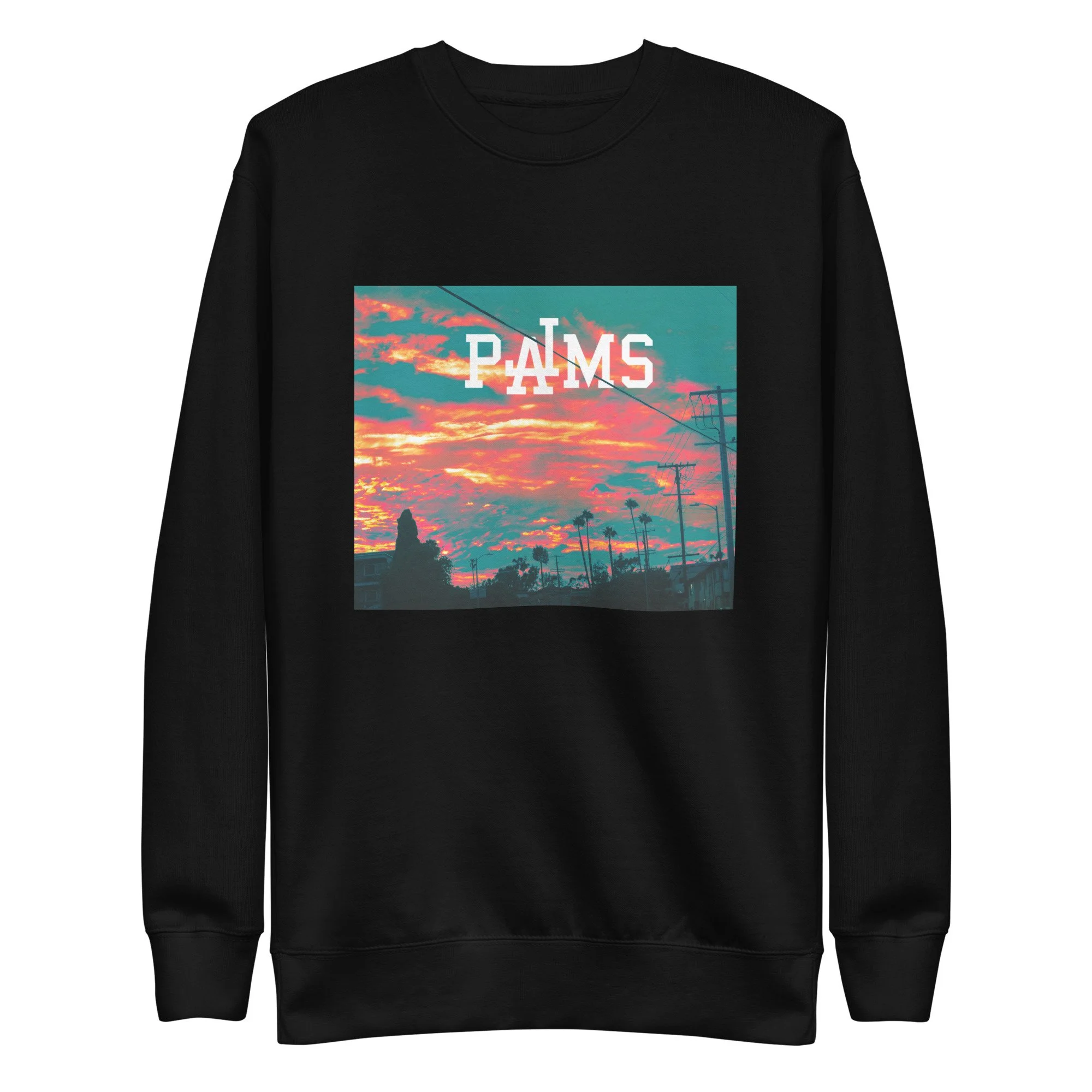unisex-premium-sweatshirt-black-front-6a7ca5480eee8.jpg