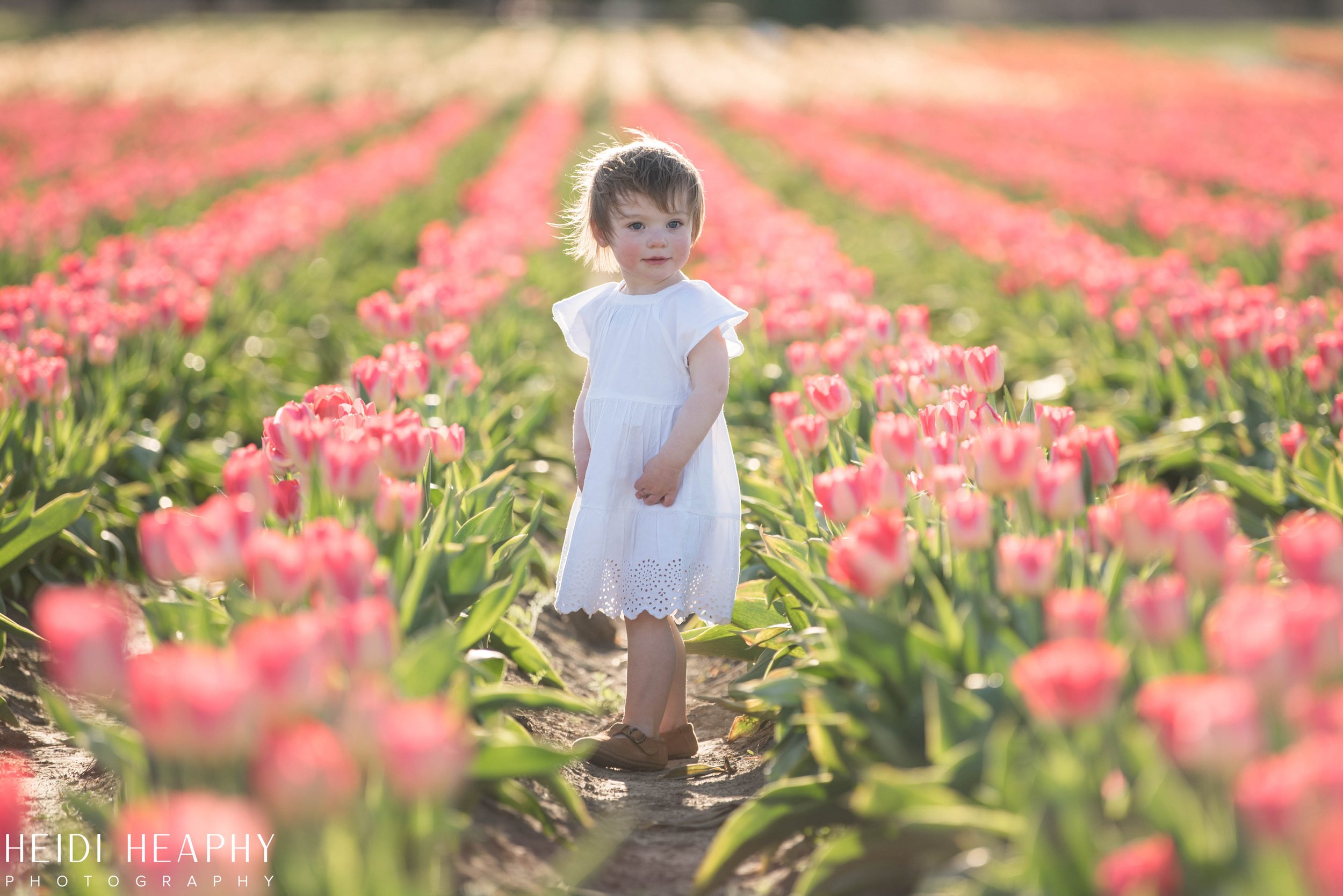 Portland Photographer, Oregon Coast Photographer, Tulip Festival, Oregon Photographer-10.jpg