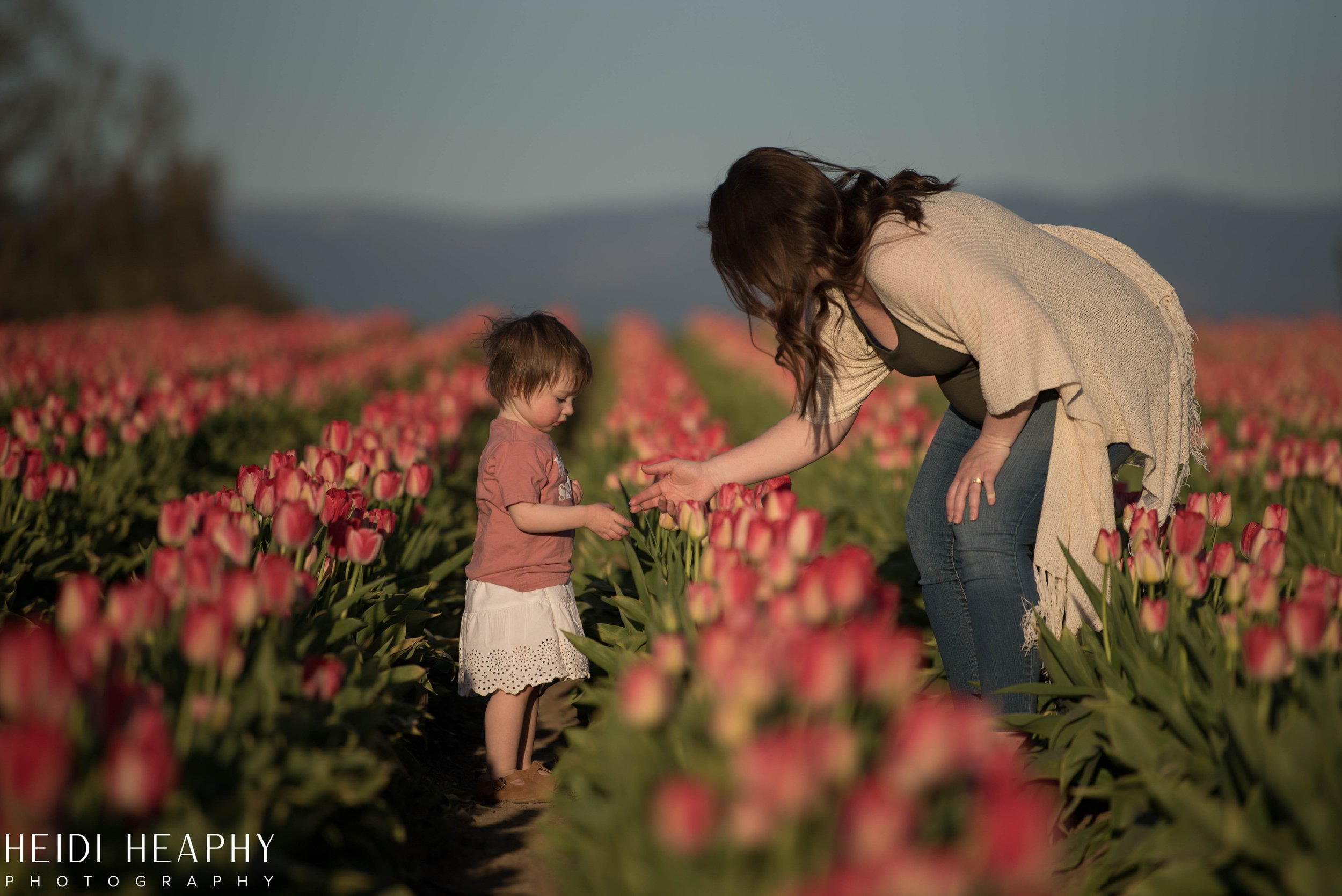 Portland Photographer, Oregon Coast Photographer, Tulip Festival, Oregon Photographer-25.jpg