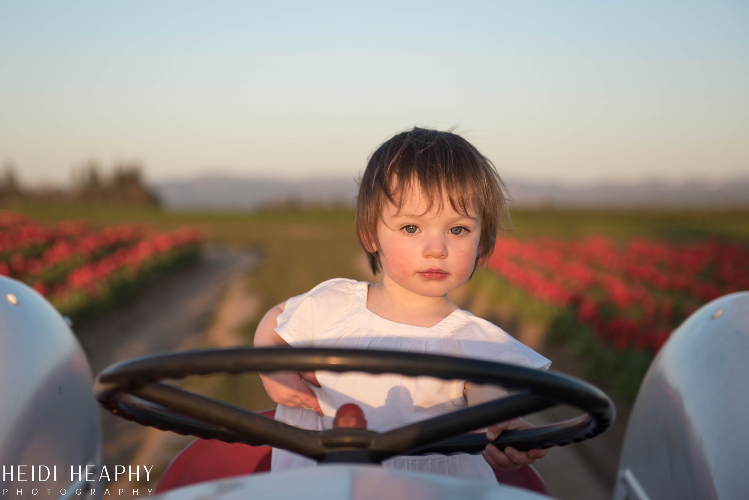 Portland Photographer, Oregon Coast Photographer, Tulip Festival, Oregon Photographer-29.jpg