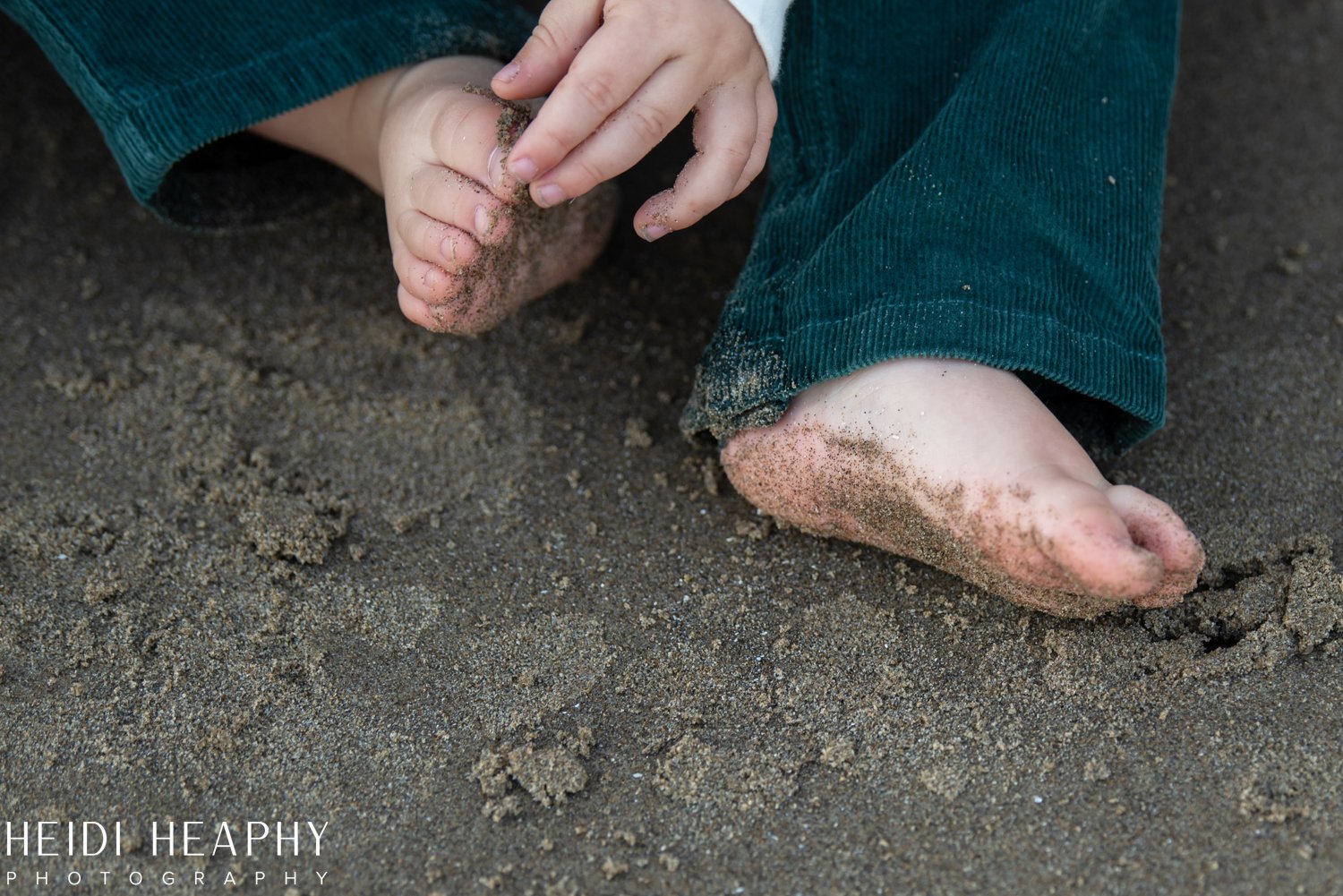 Oregon Coast Photographer, Cannon Beach Photographer_15.jpg