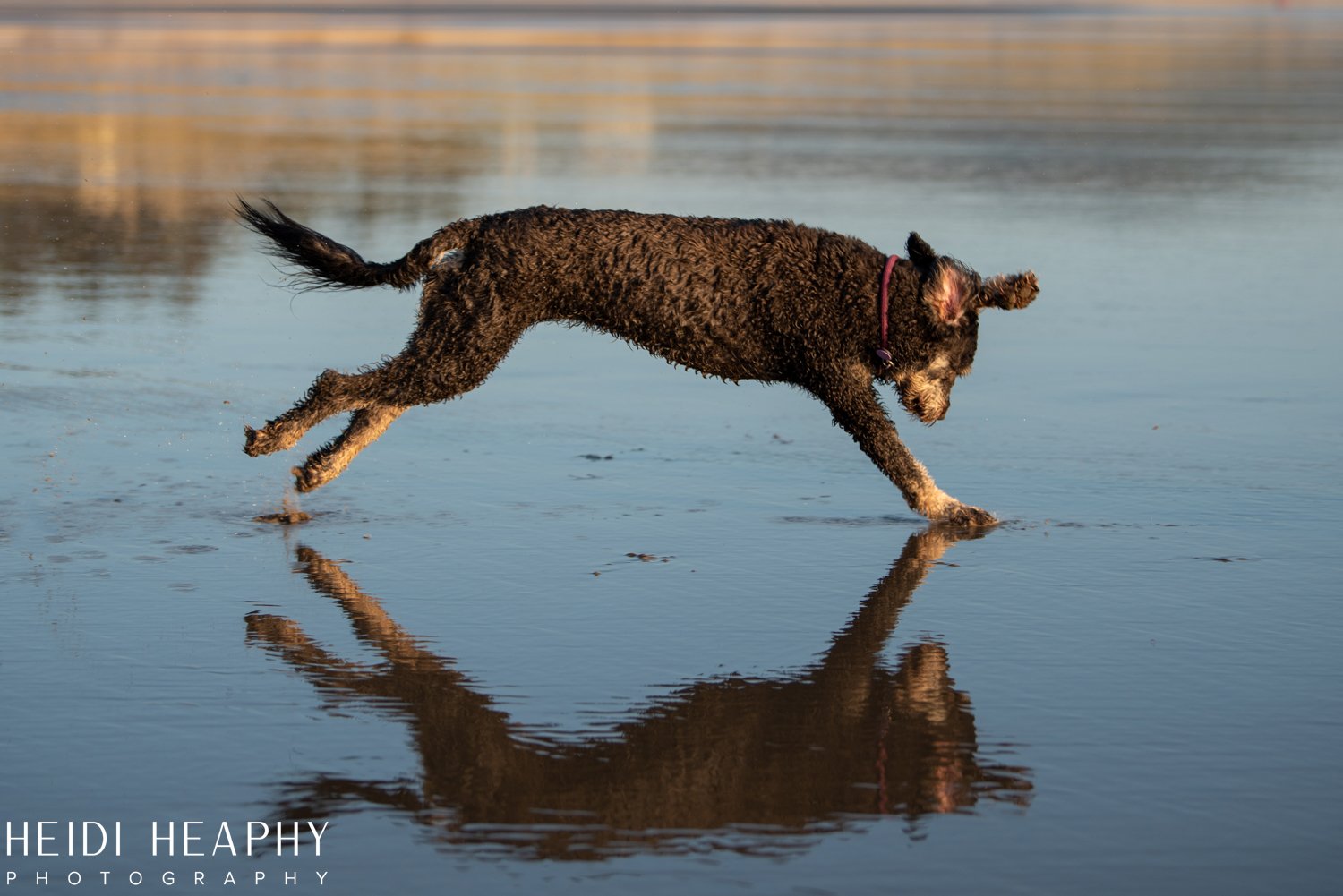 Oregon Coast Photographer, Cannon Beach Photographer_30.jpg