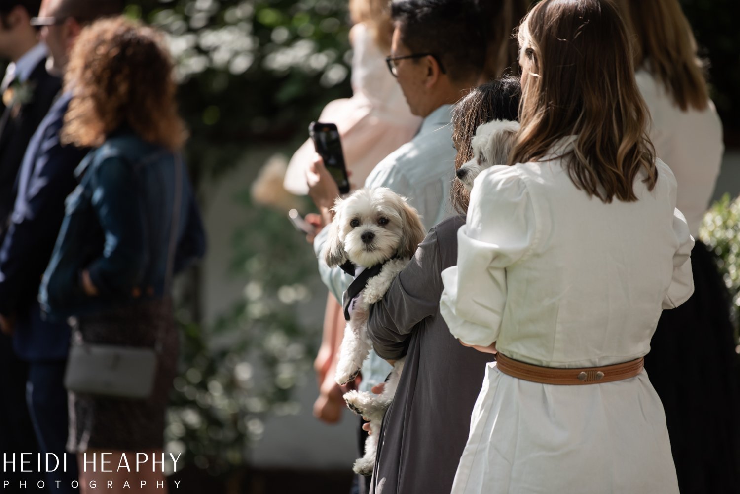 Portland Elopement, Portland Elopement Photographer, Oregon Elopement, Oregon Coast Elopement Photographer_41.jpg