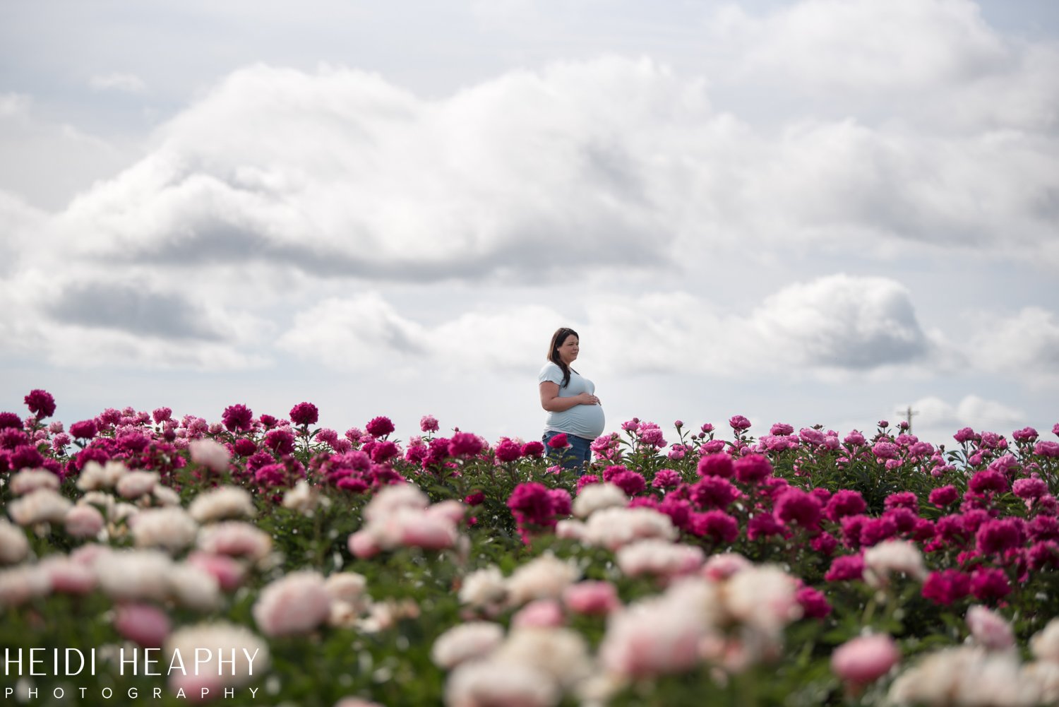 Peonies at Glencoe Farms, Peony Photos, Peony Farm, Portland Photographer, Hillsboro Photographer-26.jpg