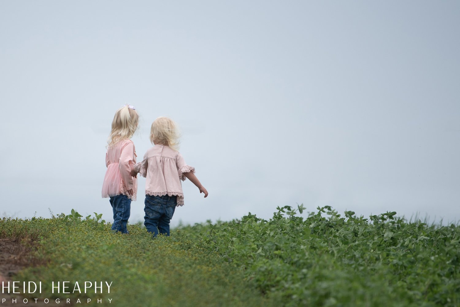 Peonies at Glencoe Farms, Peony Photos, Peony Farm, Portland Photographer, Hillsboro Photographer-55.jpg