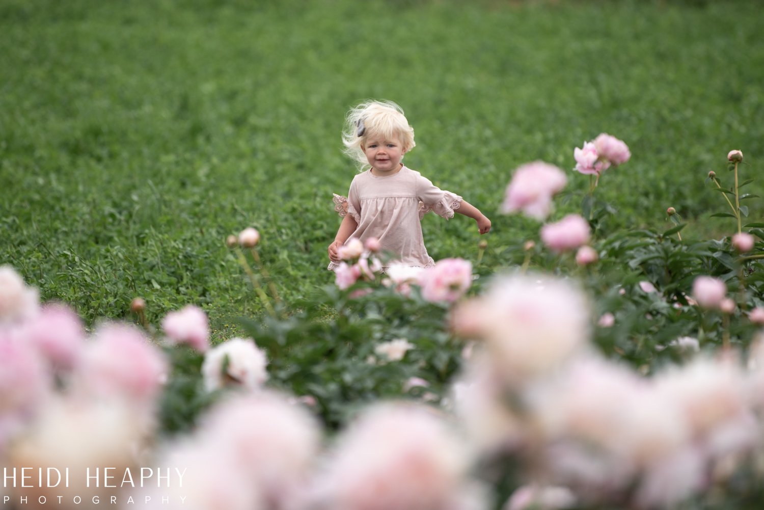 Peonies at Glencoe Farms, Peony Photos, Peony Farm, Portland Photographer, Hillsboro Photographer-56.jpg