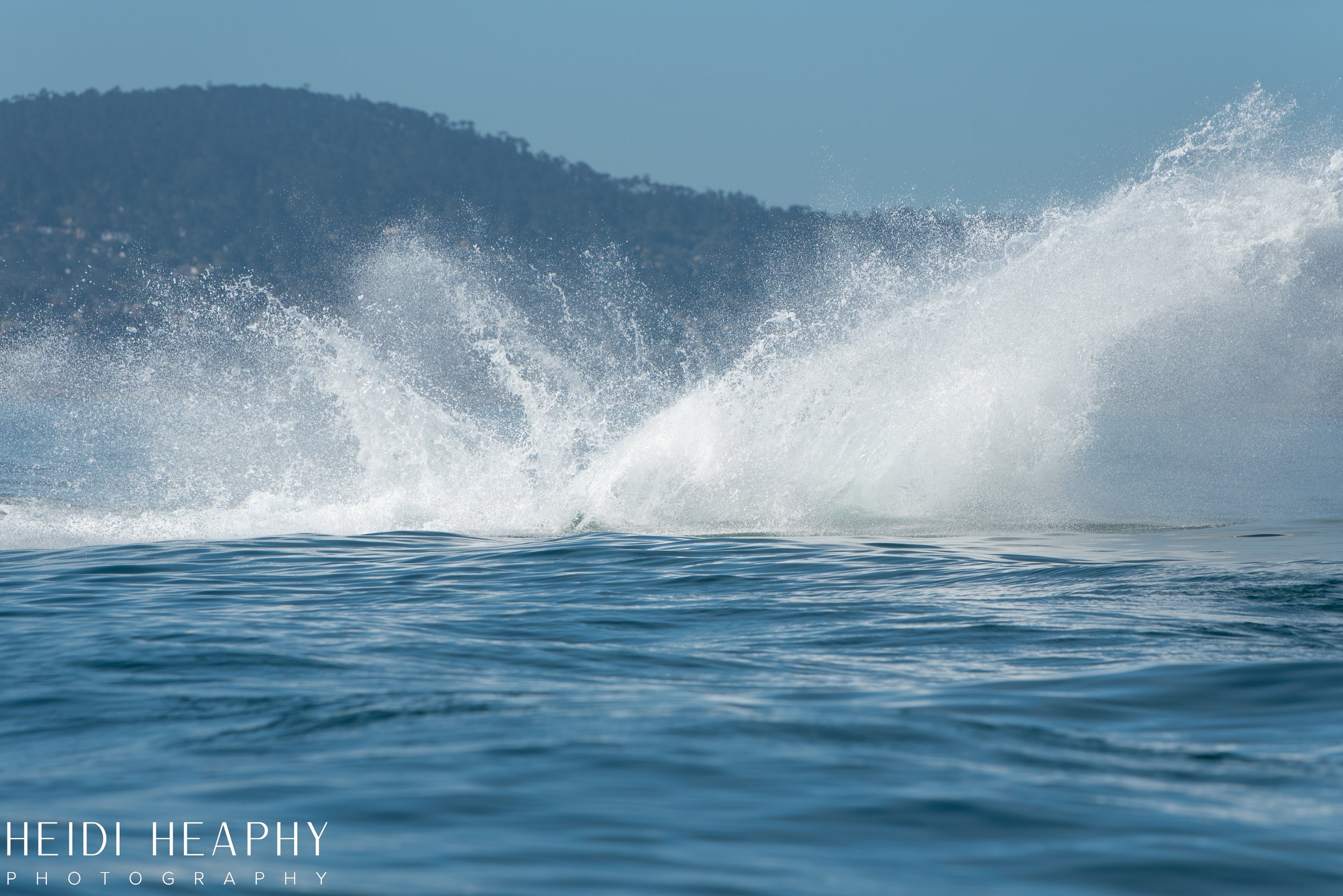 Oregon Coast Photographer, California Photographer, Whales, Humpback whales_18.jpg