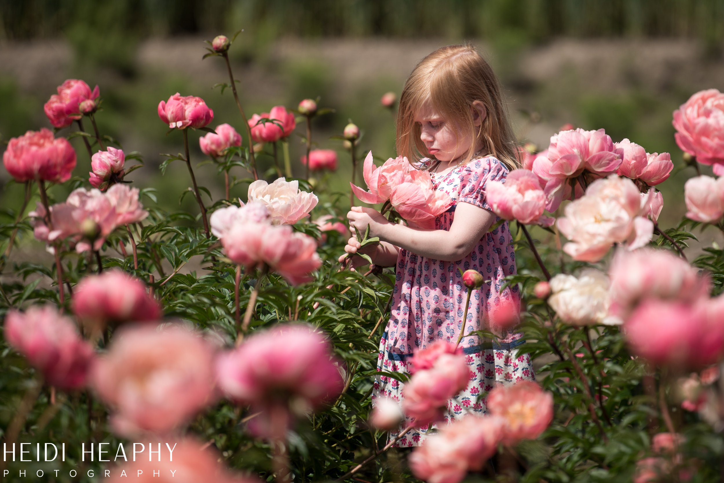 Hillsboro Photographer, Peony Farm, Peonies at Glencoe Farms, Oregon Photographer, Portland Photographer_4.jpg