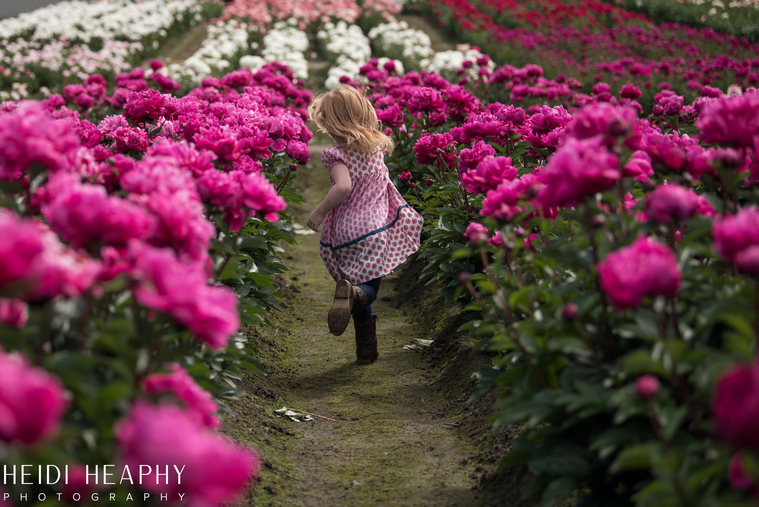 Hillsboro Photographer, Peony Farm, Peonies at Glencoe Farms, Oregon Photographer, Portland Photographer_5.jpg