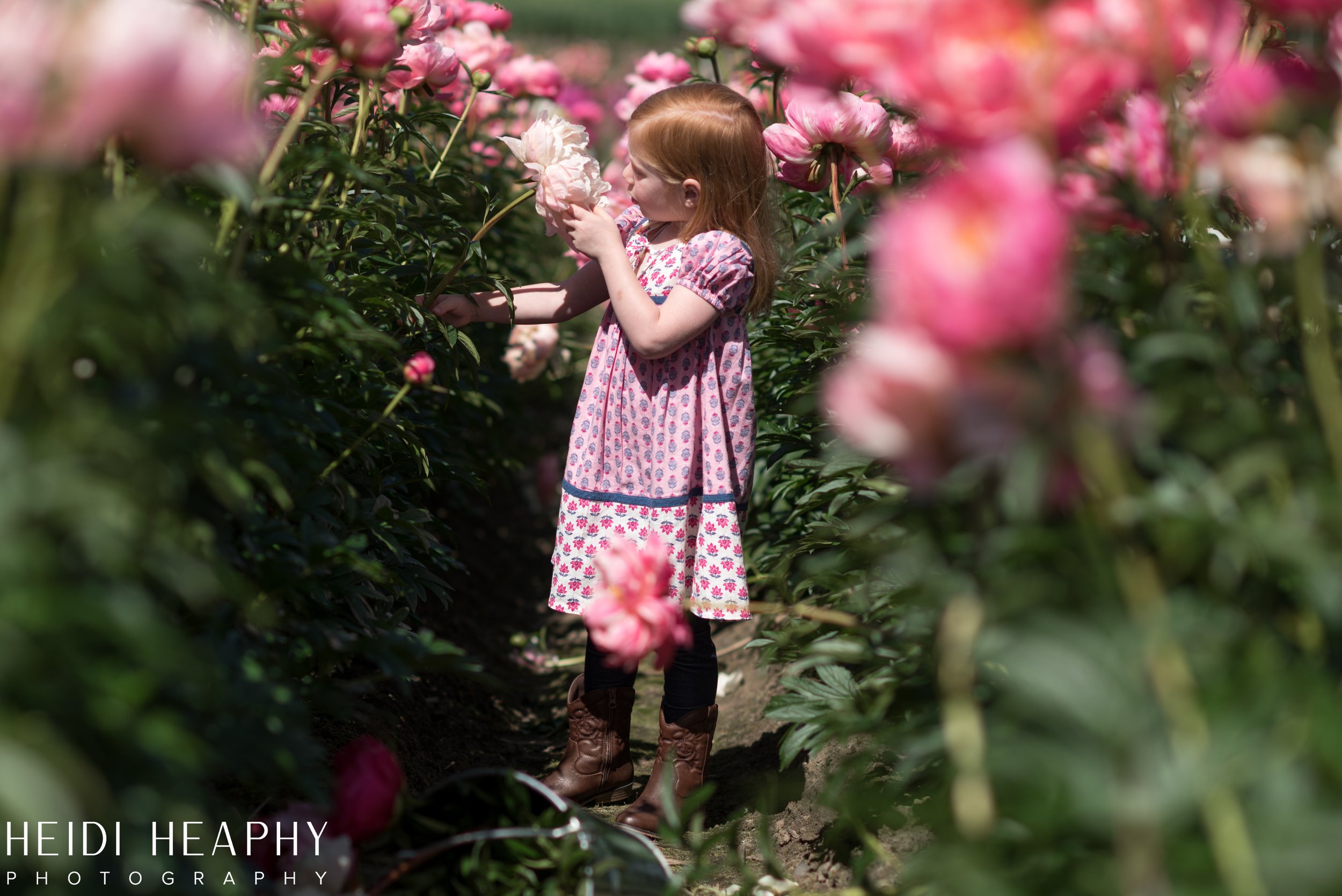 Hillsboro Photographer, Peony Farm, Peonies at Glencoe Farms, Oregon Photographer, Portland Photographer_28.jpg