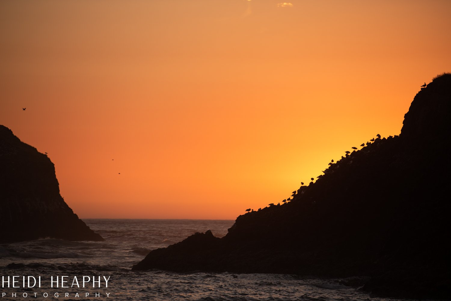 Oregon Coast Photographer, Oregon Coast, Cannon Beach Photographer, Oregon Coast Family, Cannon Beach_51.jpg