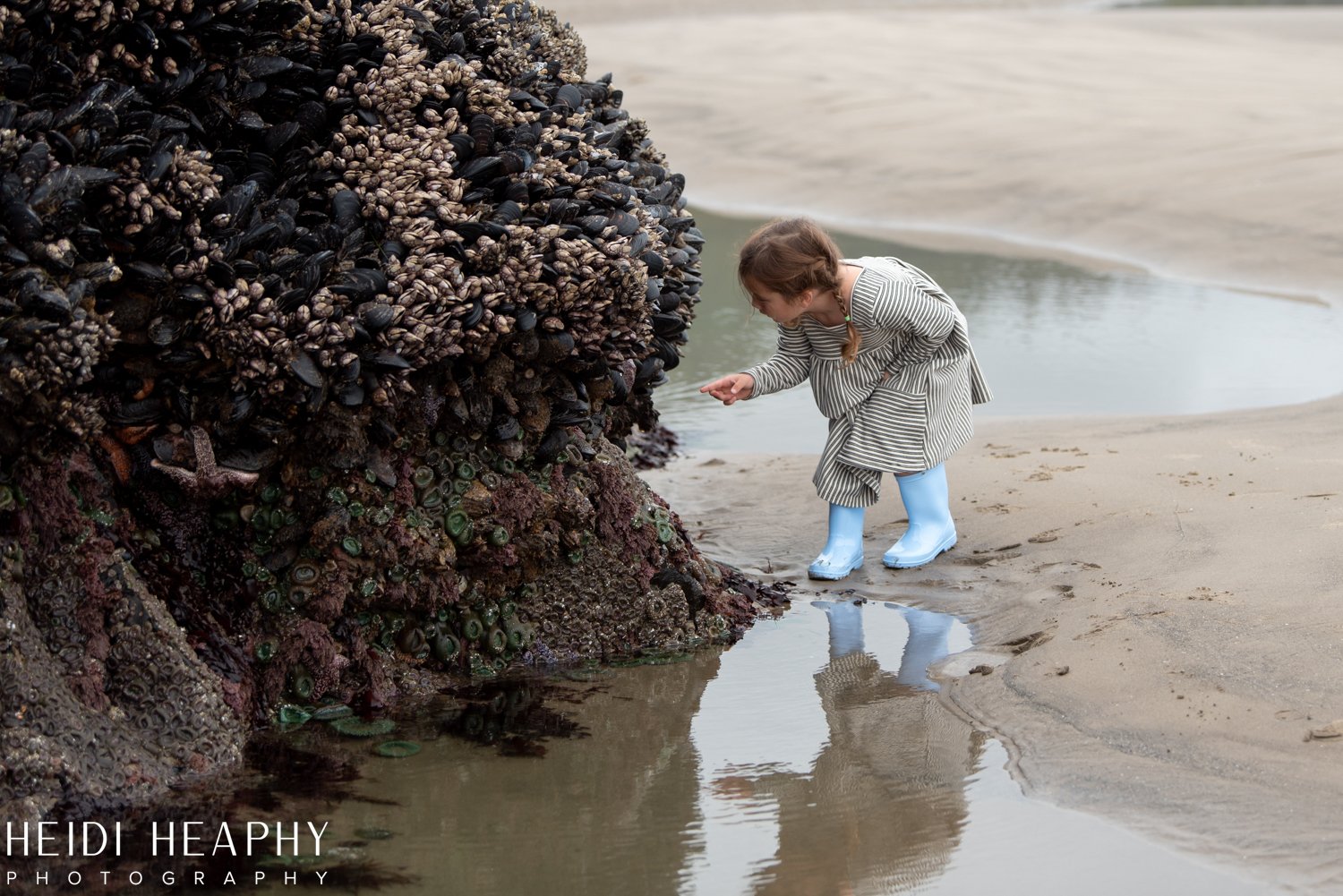 Oregon Coast Photographer, Oregon Coast, Cannon Beach Photographer, Oregon Coast Family, Low Tide Oregon Coast, Arcadia Beach_28.jpg