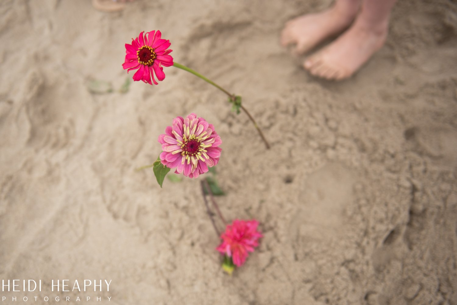 Oregon Coast Wedding, Cannon Beach Wedding, Cannon Beach Photographer, Oregon Coast Photographer-41.jpg