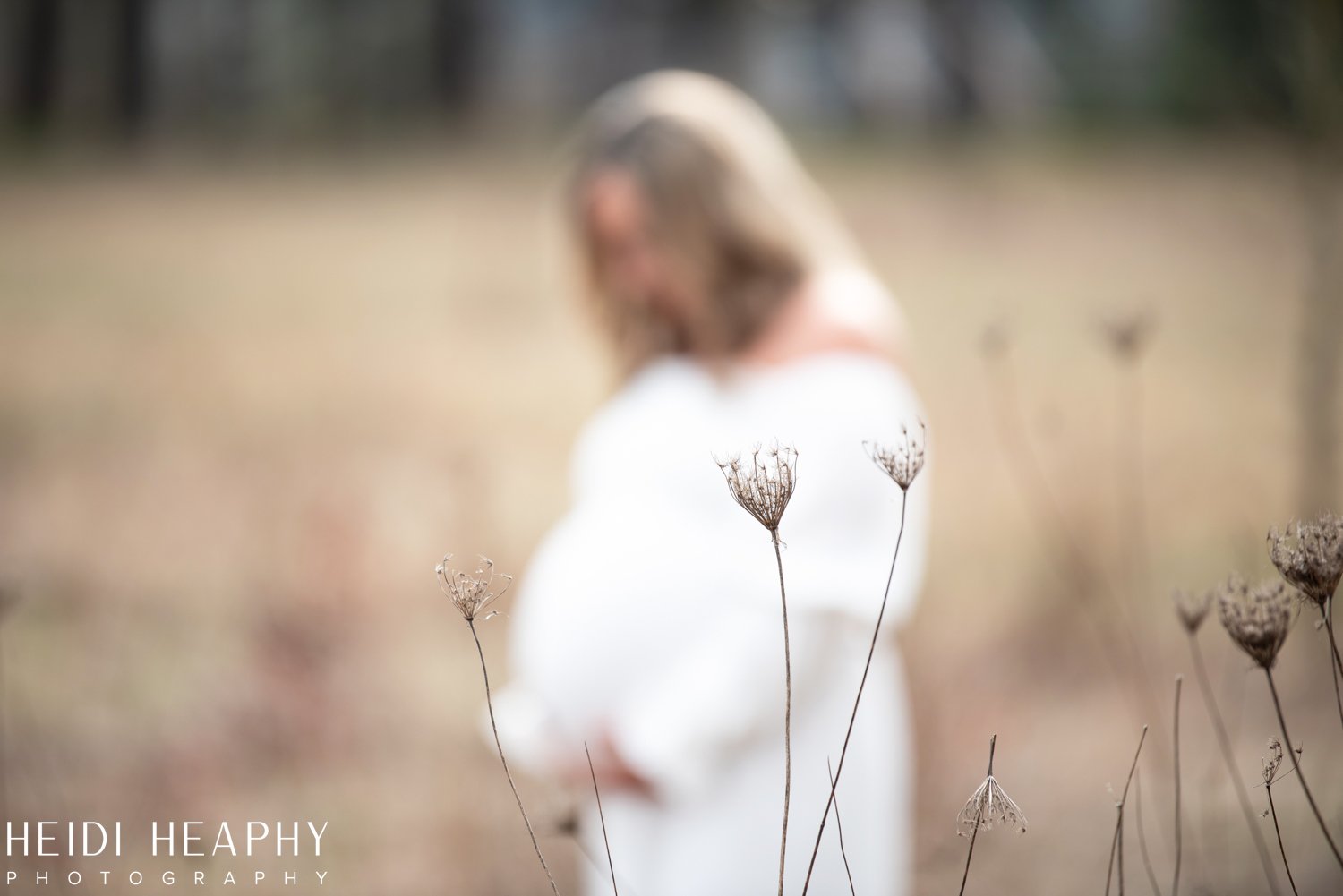 Hillsboro Oregon Photographer, Oregon Photographer, Portland Maternity Photographer_4.jpg