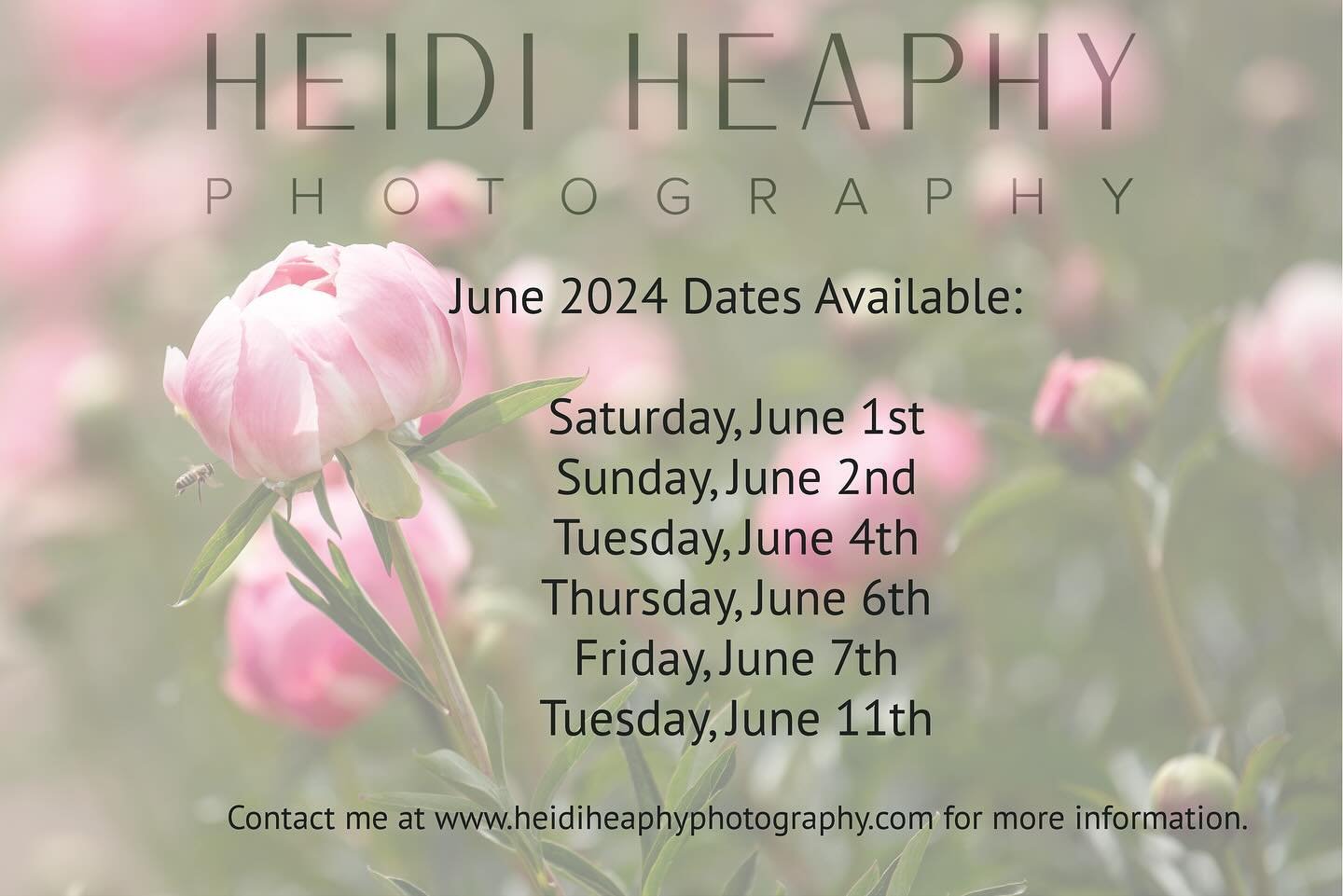 June will be here soon and my June availability is limited to these dates. Contact me to book June, July, or August soon!