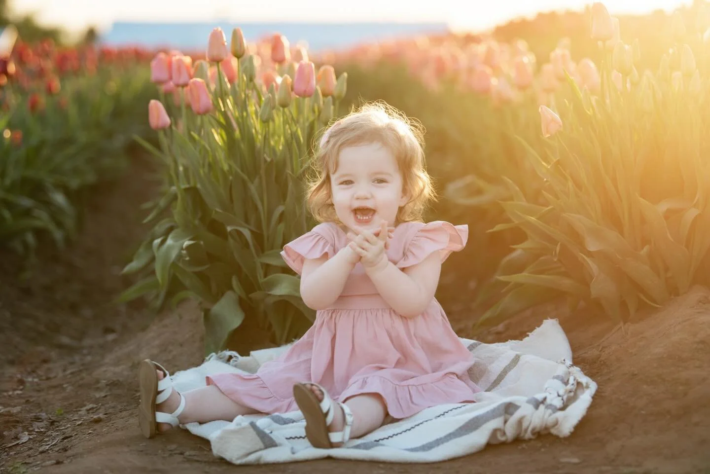 My favorite Black Friday purchase every year is the flex tickets from @woodenshoefarm. Buy your own flex tickets and join me in the tulips this spring!