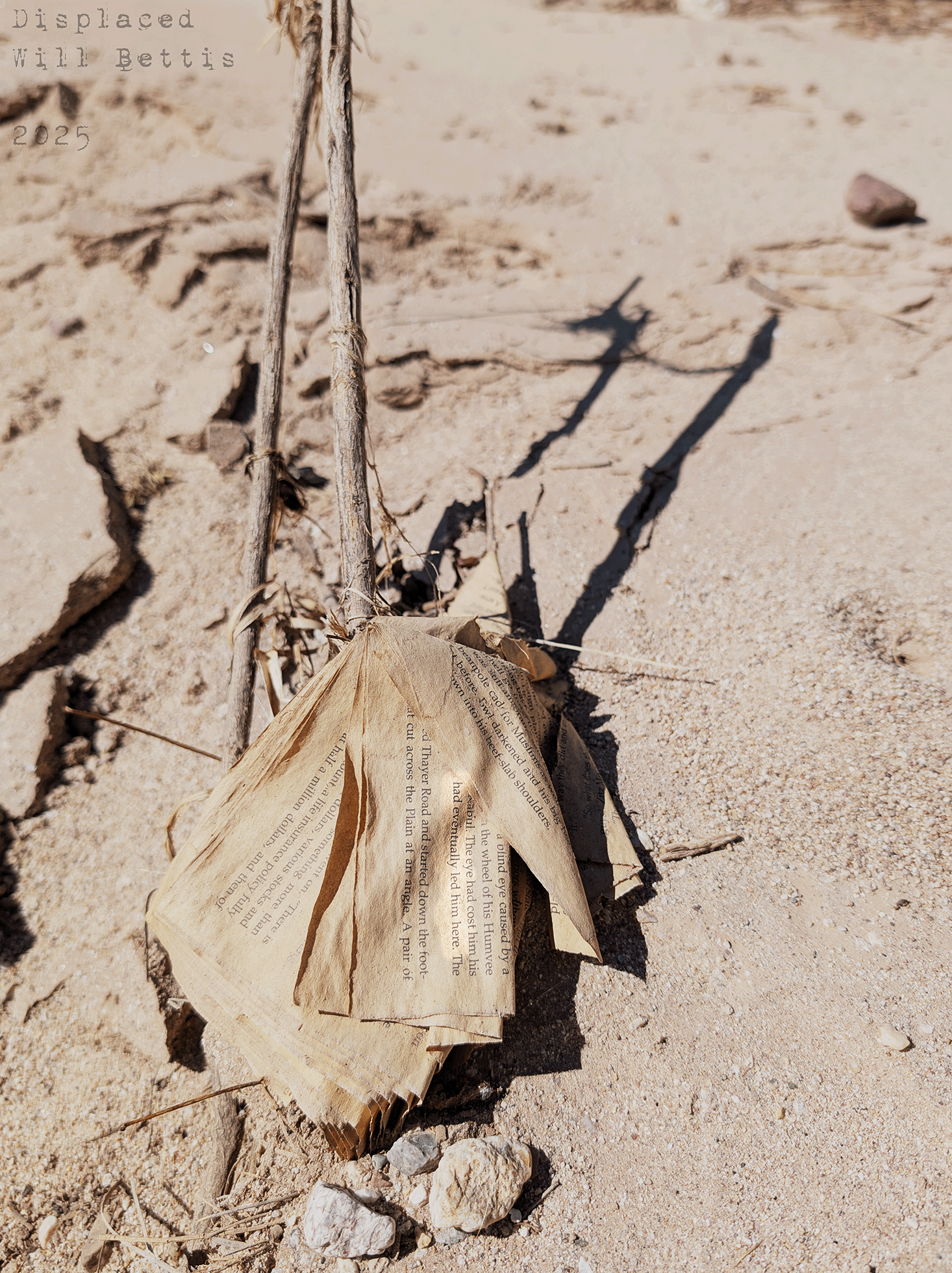 202511-displaced-png.png