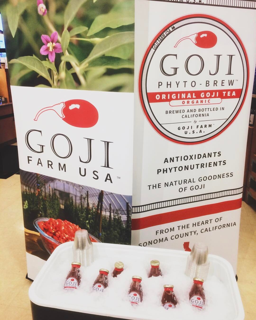 We're at @oliversmarket in #Windsor today from 11-2 giving out free samples of our incredible antioxidant drink, Goji Phyto-Brew! Be sure to stop by and grab some while you still can - 
#sonomacounty #sonoma #bayarea #norcal #goji #gojiberry #gojiber