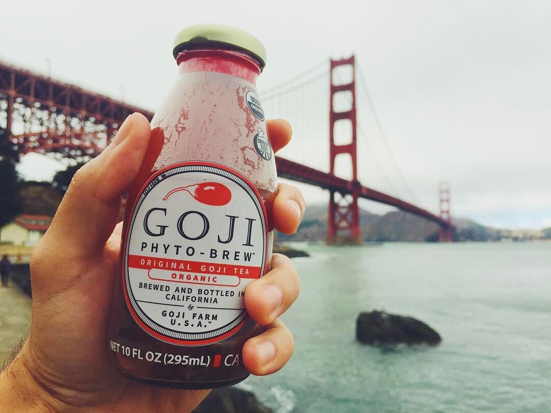 Staying healthy in The Bay, that's the Goji way! Visit us online at www.GojiFarmUSA.com to learn about the amazing health benefits of our signature beverage, Goji Phyto-Brew. #goji #gojiberry #bayarea #norcal #sonomacounty #goldengatebridge #thebay #