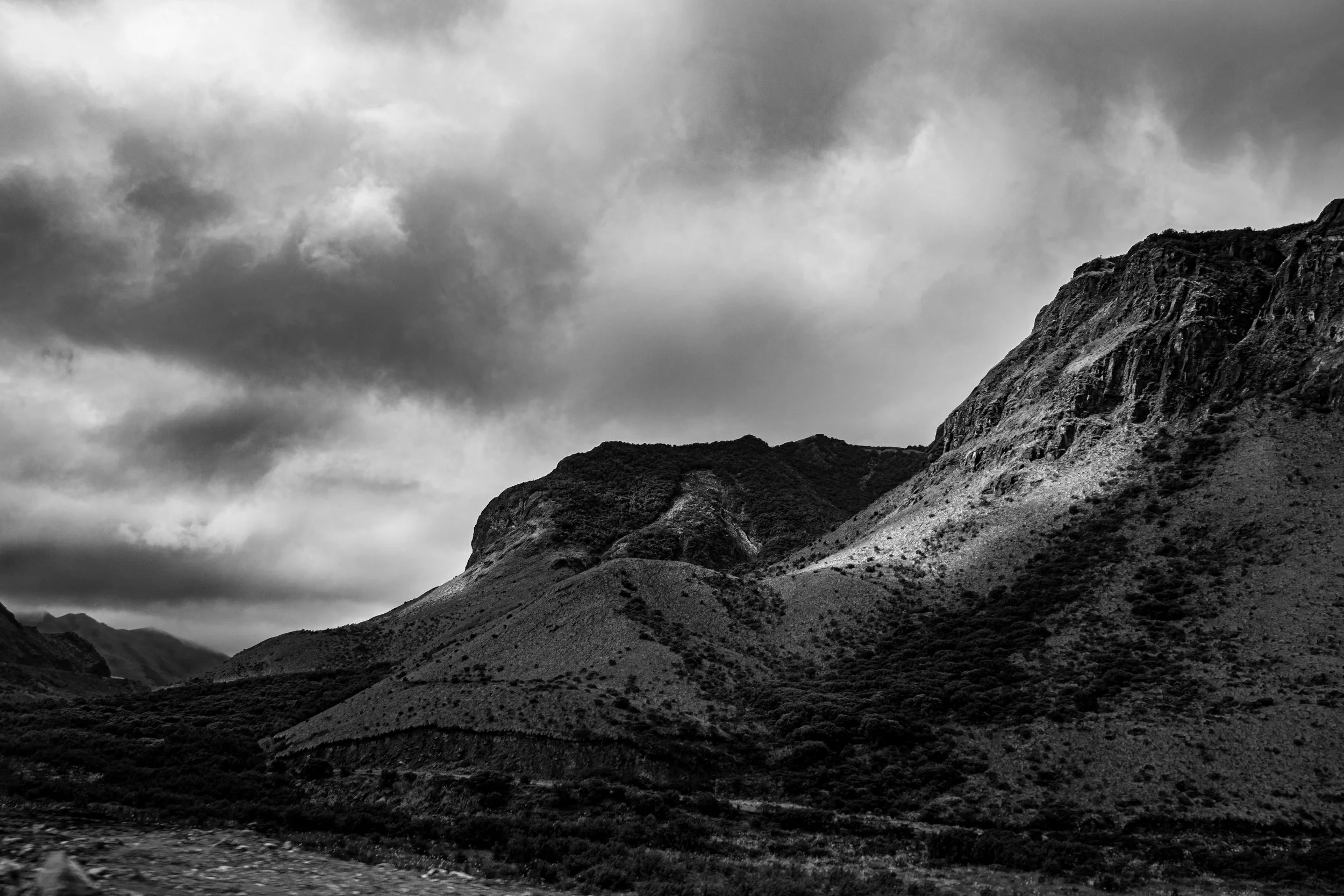 DSC_6499.jpg