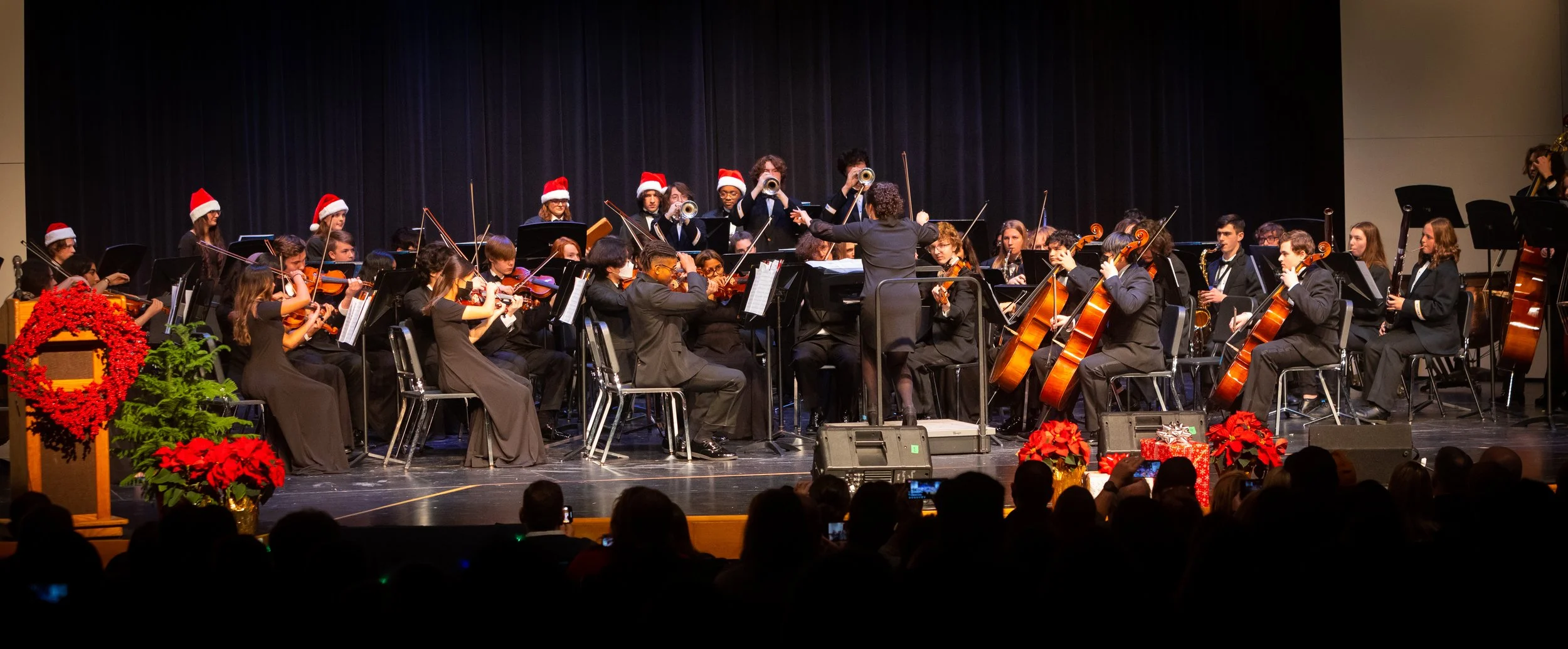 Sylvania Northview Wildcats Band and Orchestra