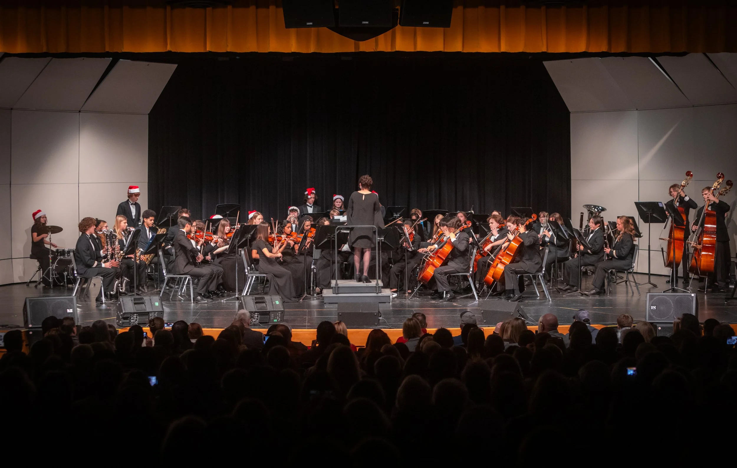Sylvania Northview Wildcats Band and Orchestra