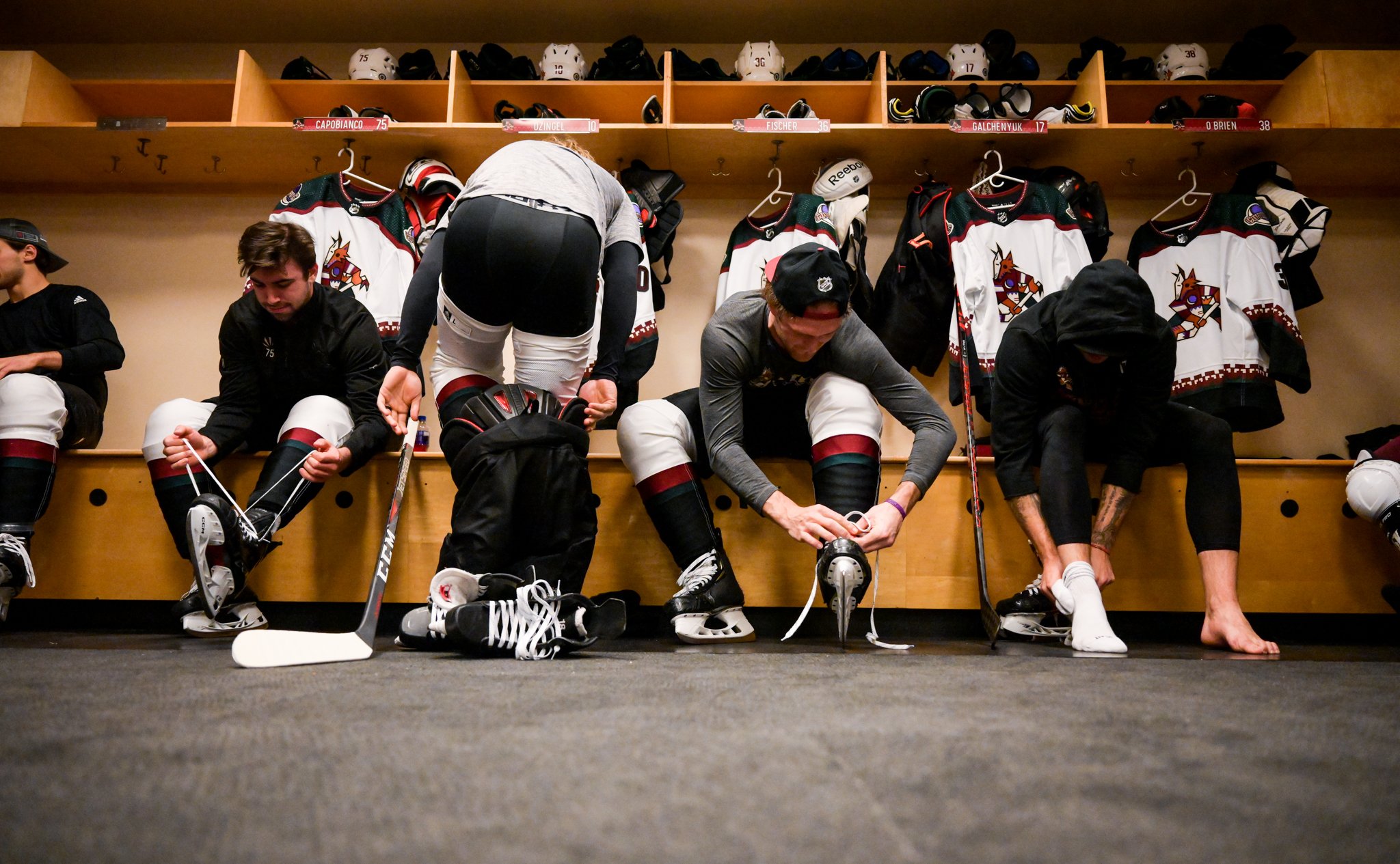 20211206_Arizona Coyotes_Selects32347.jpg