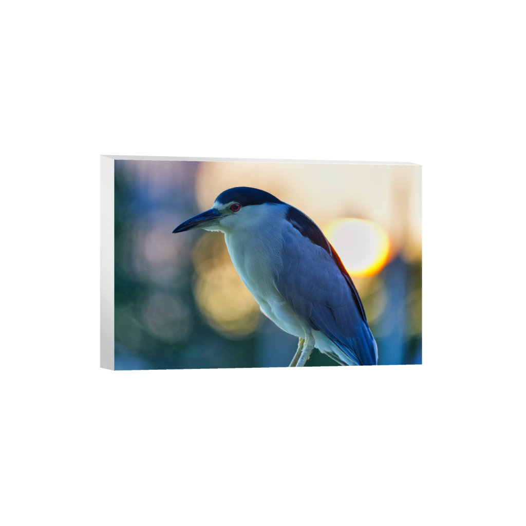 ptq_7_3_0_0_7965_5310_0_false_ffffff_0_0_.png