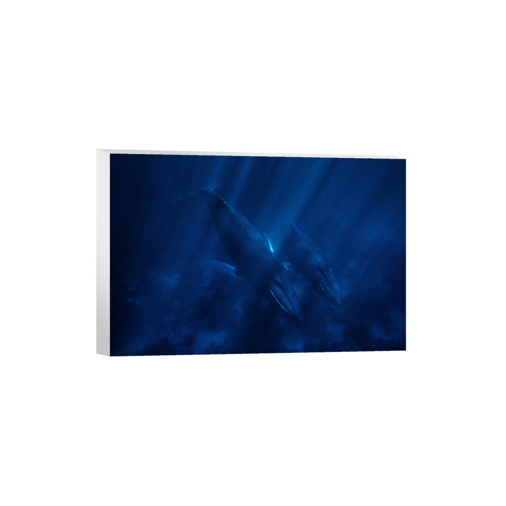 ptq_7_3_0_0_8640_5760_0_false_ffffff_0_0_.png