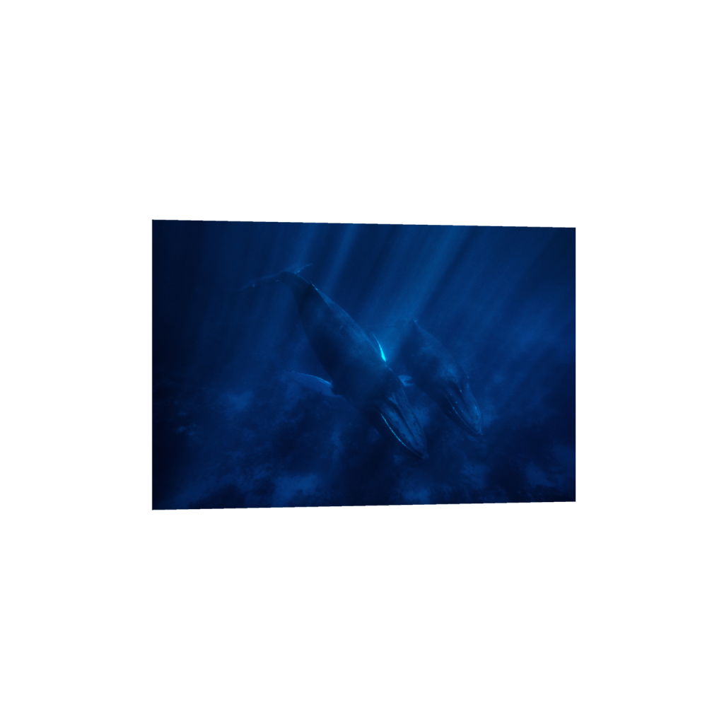 ptq_1_3_0_0_8640_5760_0_false_ffffff_0_0_.png