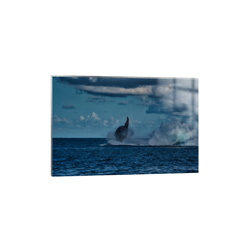 ptq_13_3_0_1_7952_5301_0_false_ffffff_0_0_.png