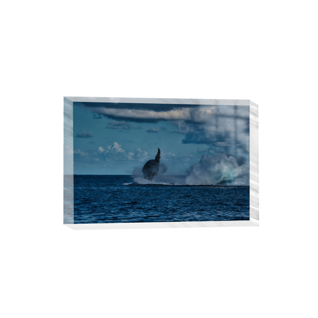 ptq_300_3_0_1_7952_5301_0_false_ffffff_0_0_.png