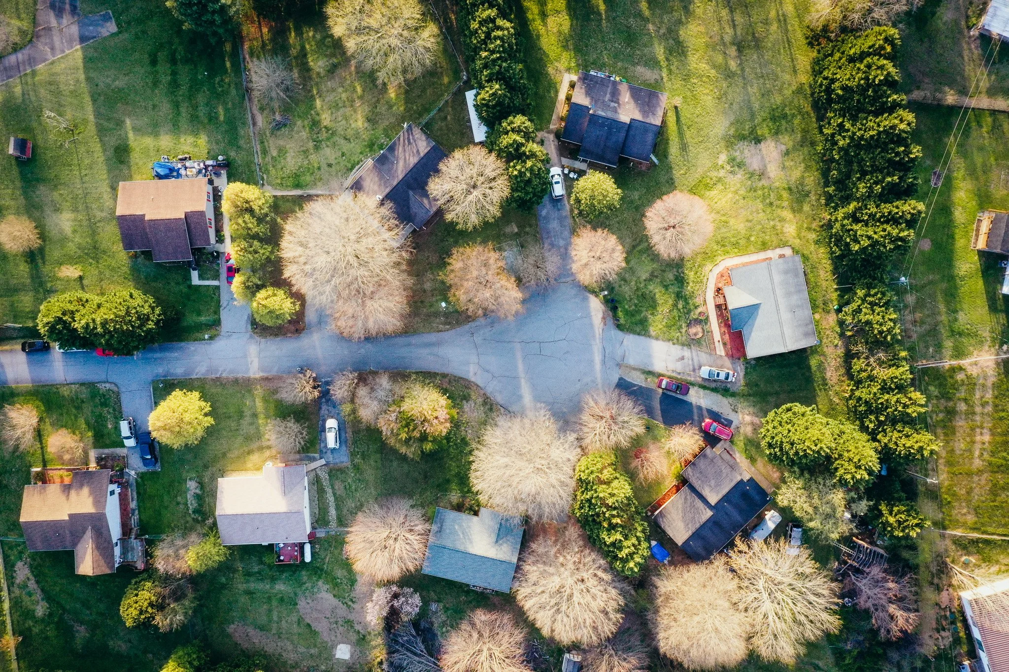 DJI_0107.jpg