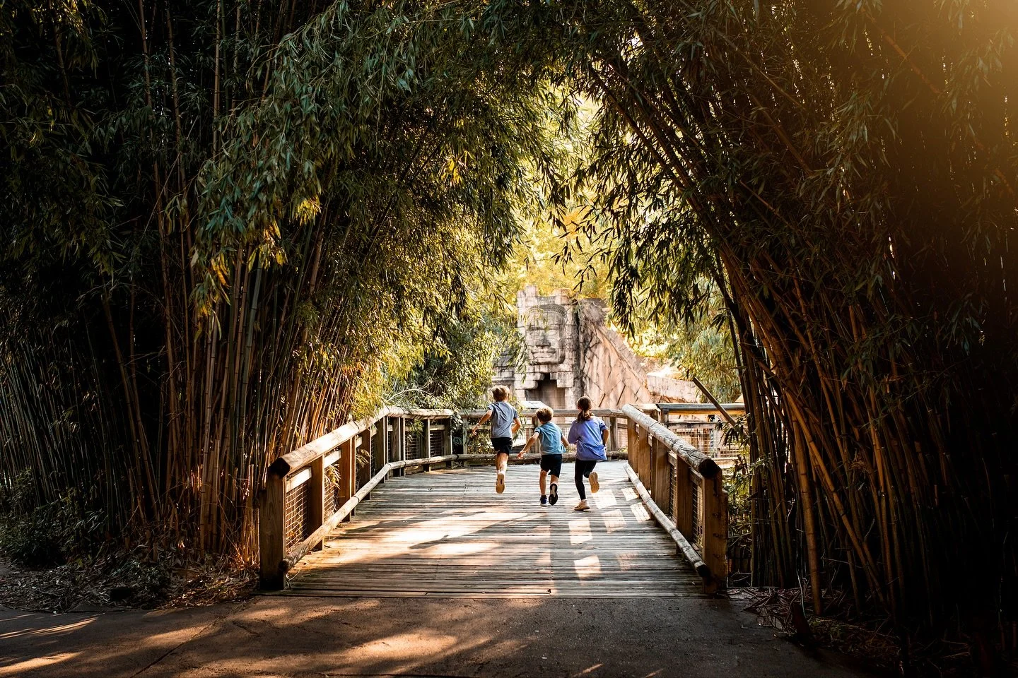 What a difference 4.5 years makes 🥹 when we were at the @memphiszoo last month I didn&rsquo;t plan to recreate this image until we walked into cat country and this image from 2021 popped into my mind (swipe to see the 2021 image). We have an incredi