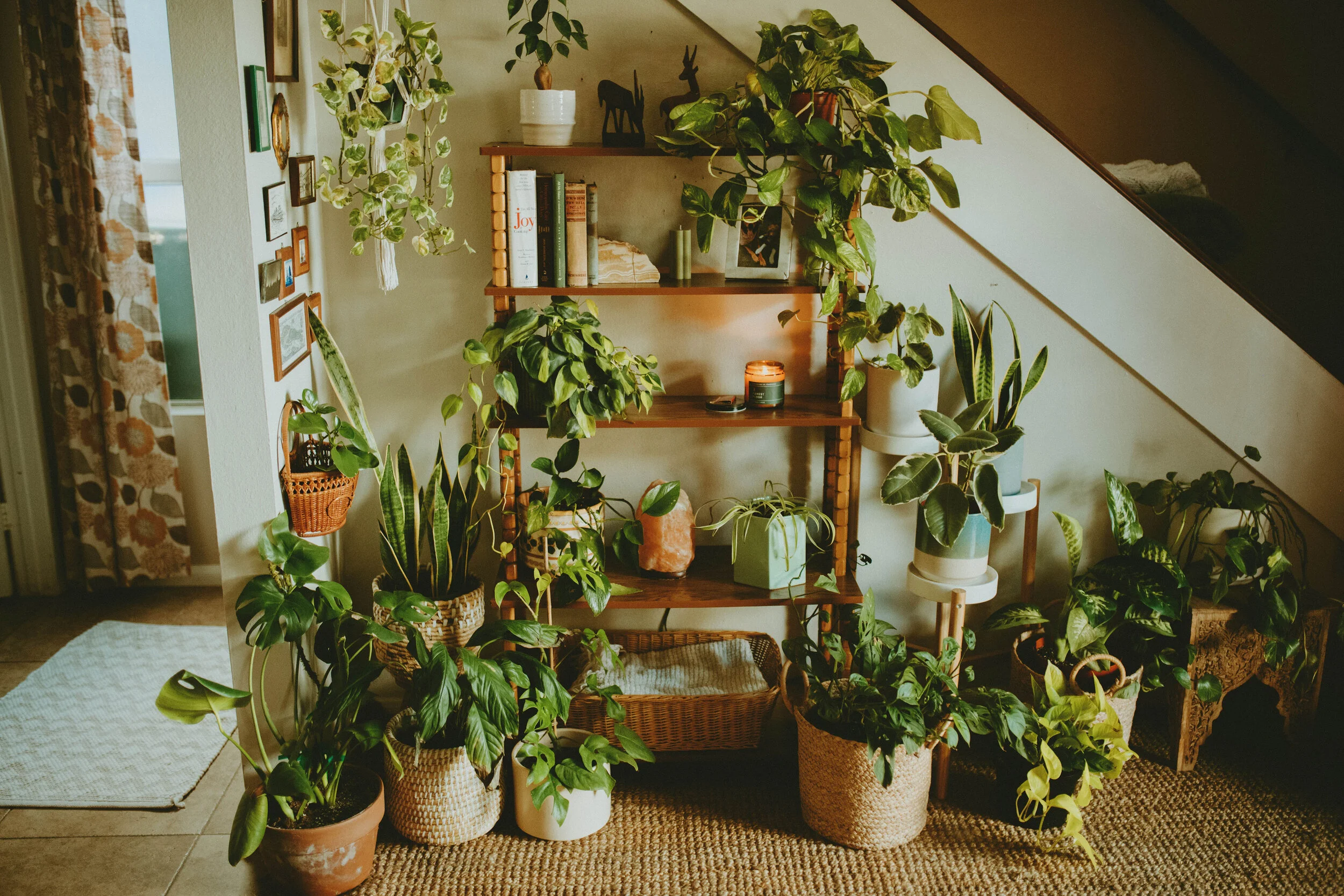 interior design — THE GILDED LILY THRIFT CO.