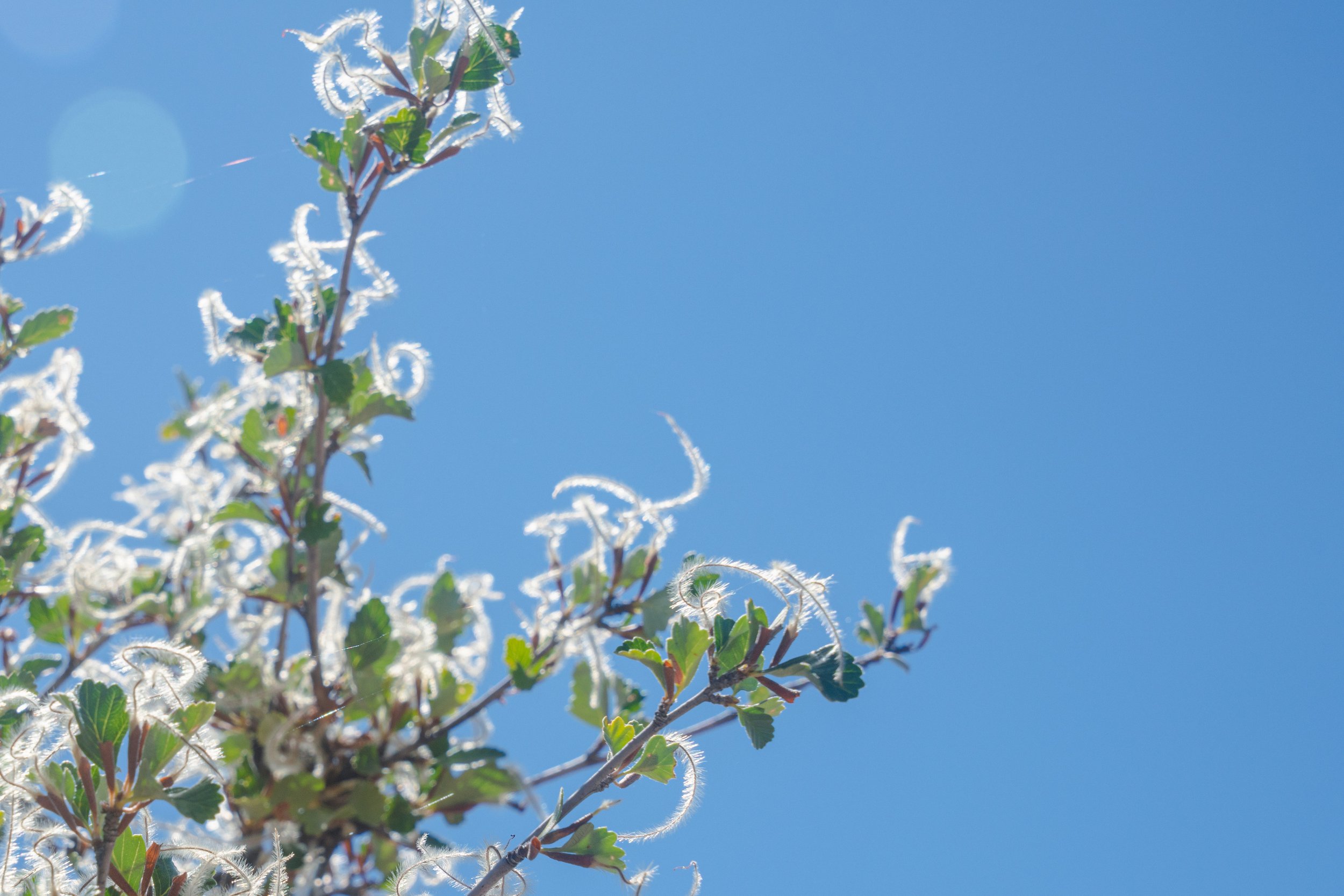 _DSC0398.jpeg